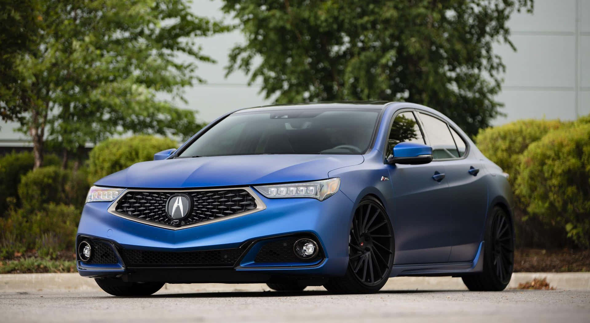Acura Tlx 桌布 壁紙 — 一輛時尚的藍色Acura轎車配黑色輪圈，停泊在鋪砌路面上，周圍環繞著綠色灌木和樹木。