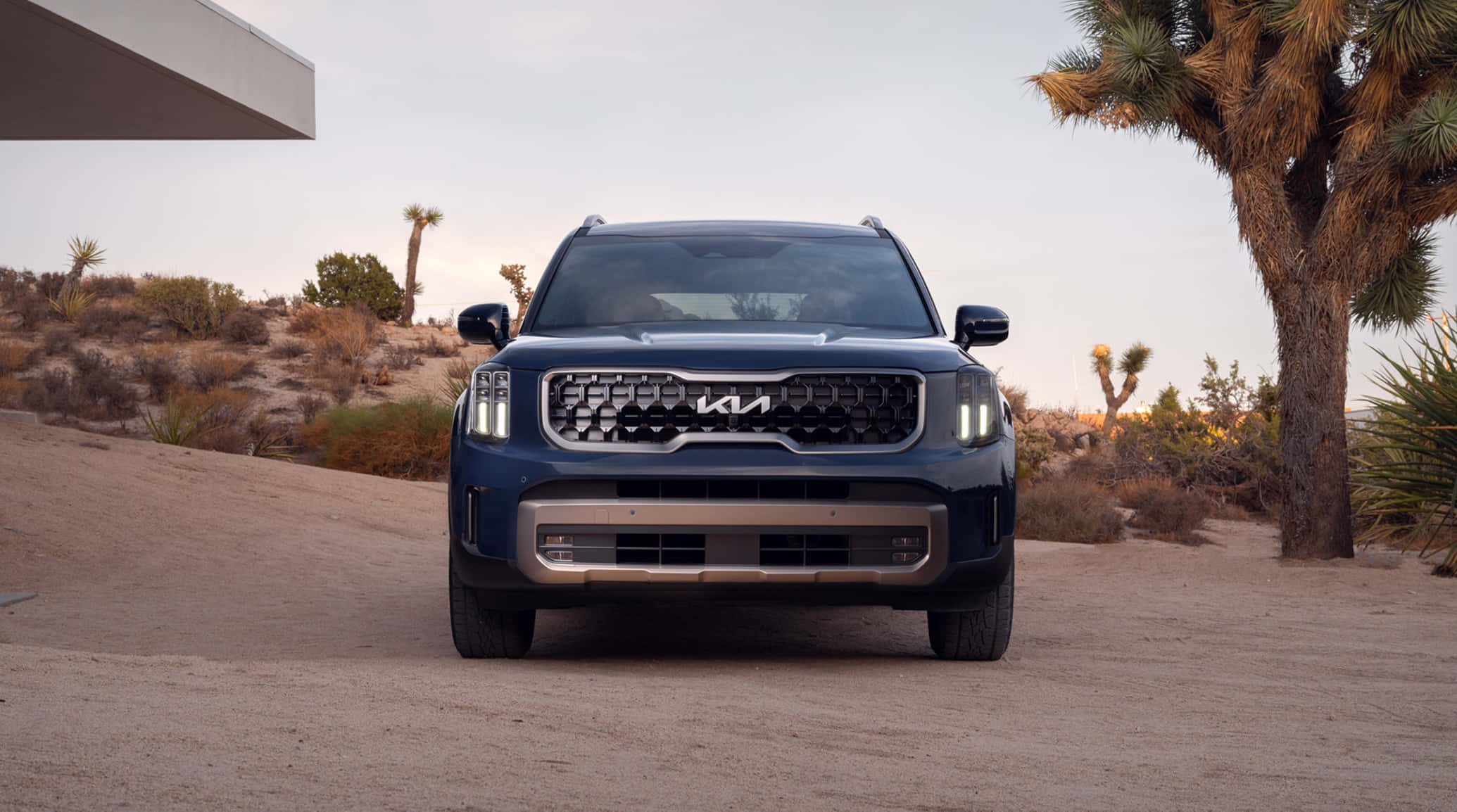 Kia Telluride 桌布 壁紙 — 一輛時尚的藍色Kia SUV停泊在塵土飛揚的沙漠道路上，附近有約書亞樹，天空呈現柔和暮色。
