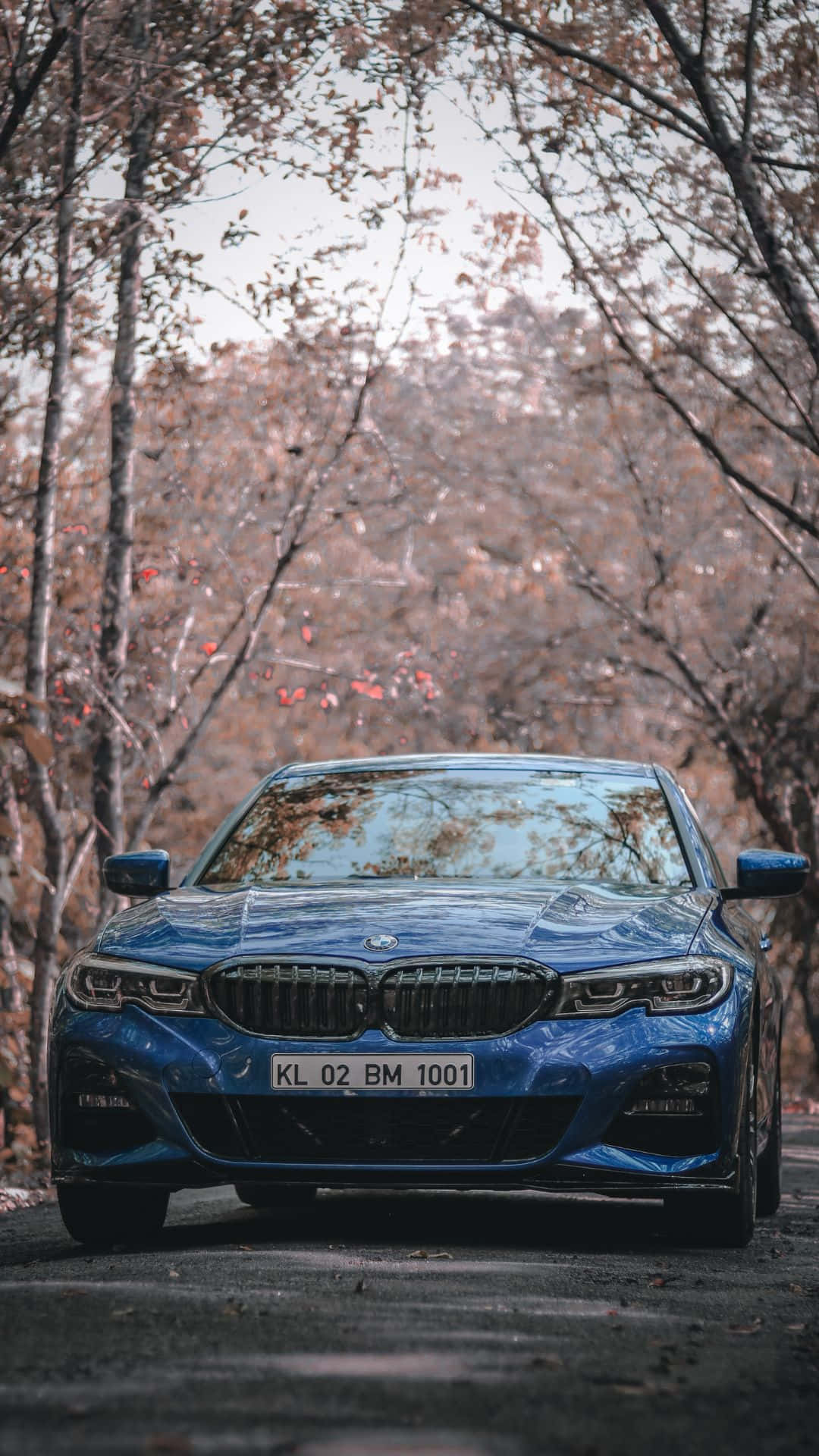 Android Bmw 桌布 壁紙 — 一輛時尚的藍色寶馬轎車停泊在森林道路上，周圍是光禿禿的秋樹，光線柔和而擴散。