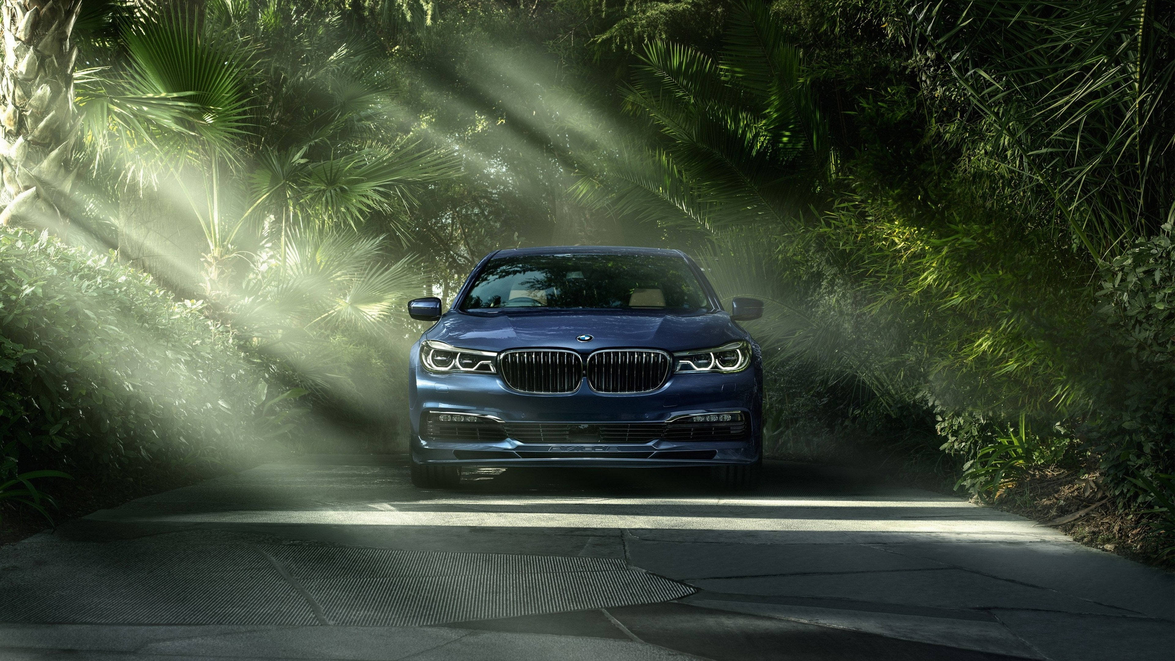 BMW 動圖 桌布 壁紙 — 一輛時尚的藍色寶馬轎車在霧氣瀰漫的叢林道路上行駛，陽光穿過茂密的綠色樹葉。