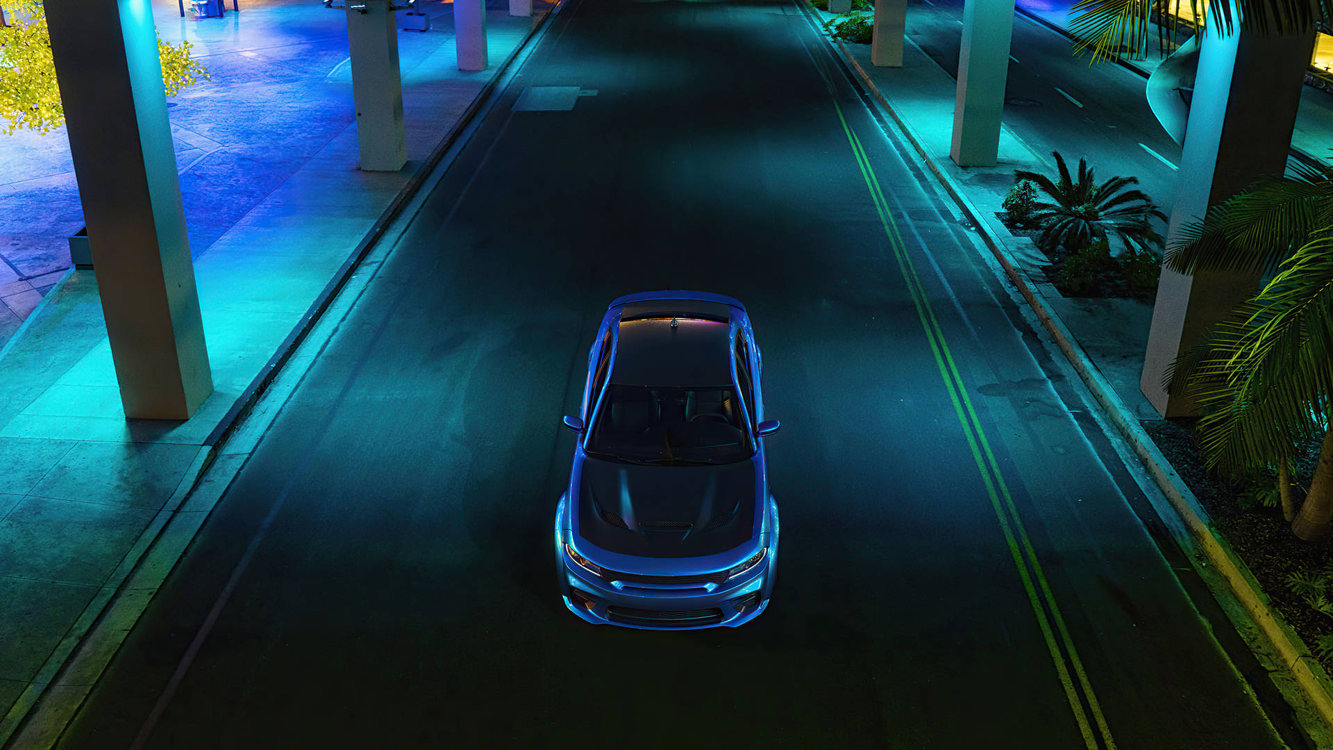 道奇挑戰者 桌布 壁紙 — 一輛時尚的藍色汽車在夜晚的霓虹燈城市街道上，在發光的柱子和棕櫚樹下滑行。