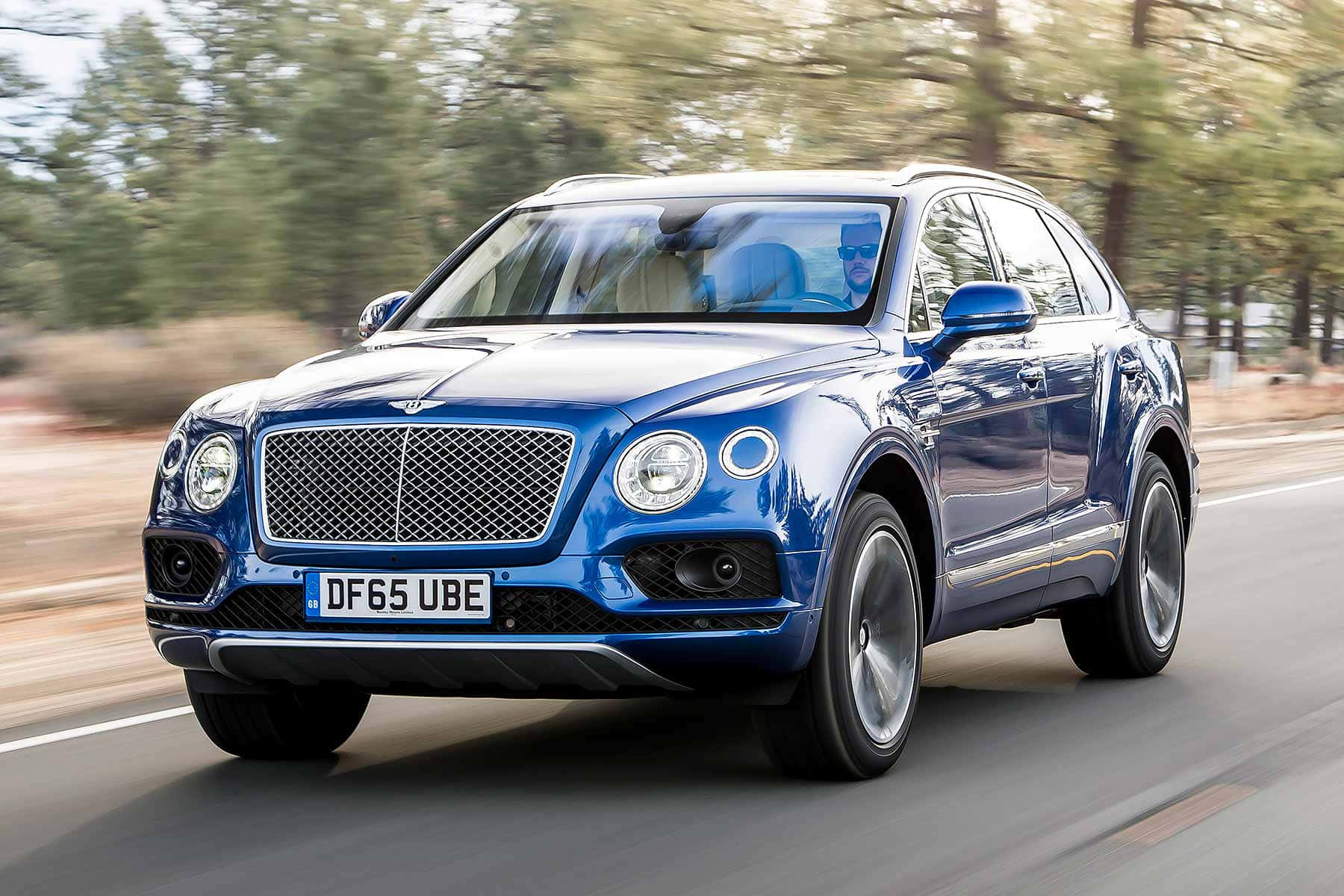 Best Bentley 桌布 壁紙 — 一輛時尚的藍色賓利Bentayga SUV在森林道路上行駛，背景呈現動態模糊效果。