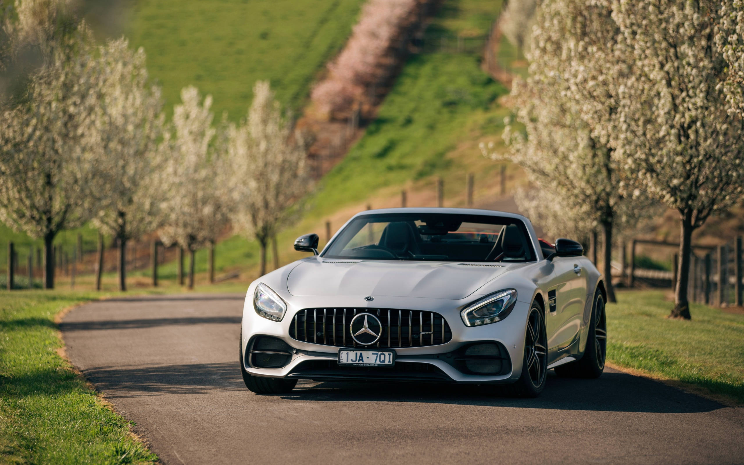 Mercedes 桌布 壁紙 — 一輛時尚的銀色 Mercedes-AMG GT Roadster 在明媚的春日照耀下，沿著綠樹成蔭的鄉村道路巡航。