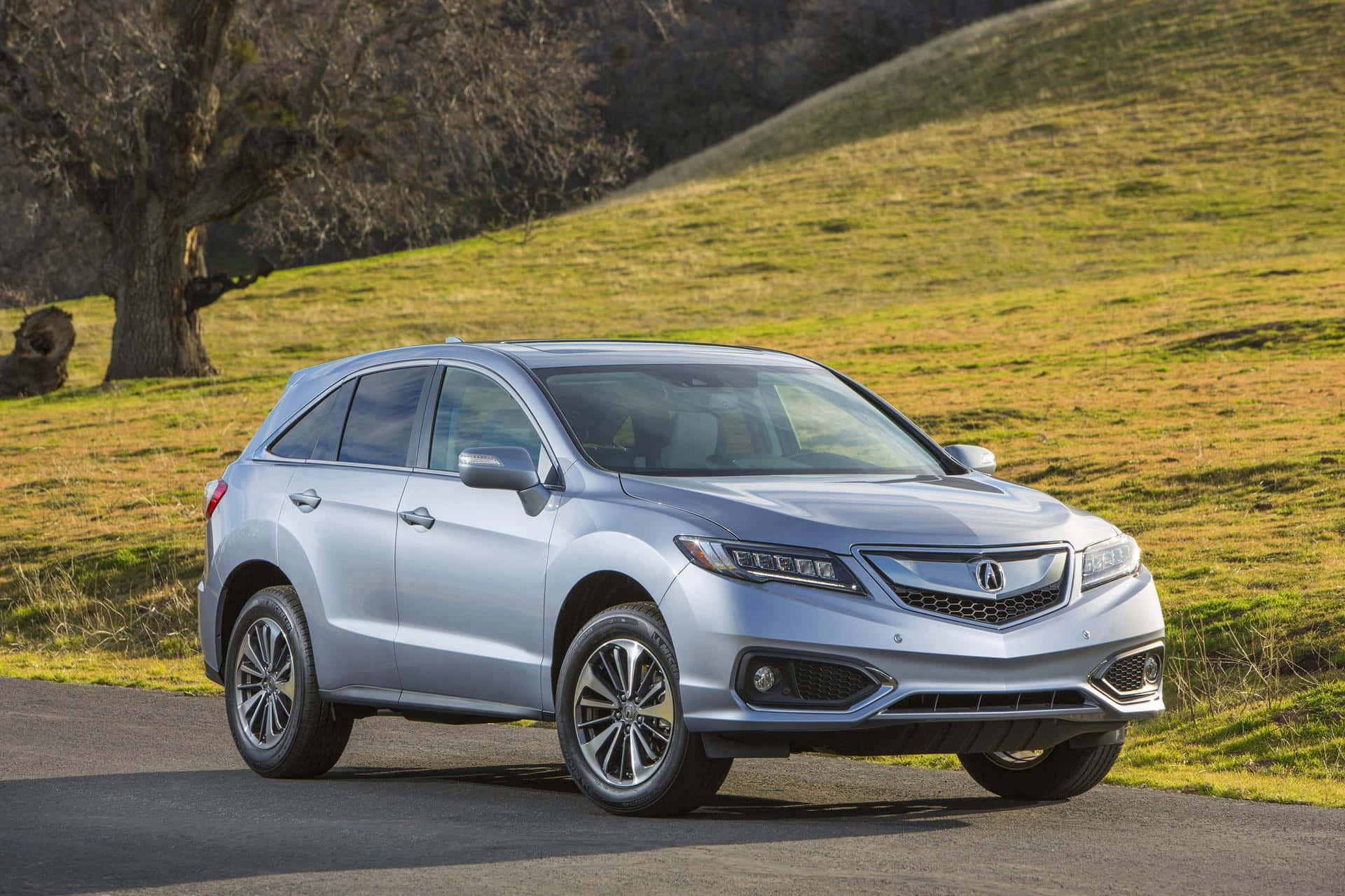 Acura Rdx 桌布 壁紙 — 一輛時尚的銀色Acura SUV停在鋪砌的道路上，旁邊是長滿草的山丘，有一棵光禿禿的樹，沐浴在溫暖的陽光下。
