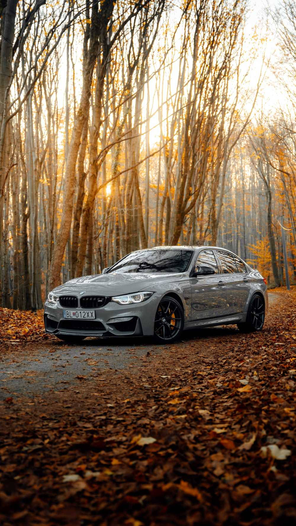 桌布 壁紙 — 一輛時尚的銀色BMW M4雙門跑車停泊在落葉滿地的森林道路上，沐浴在透過光禿樹木灑下的金色秋日陽光中。