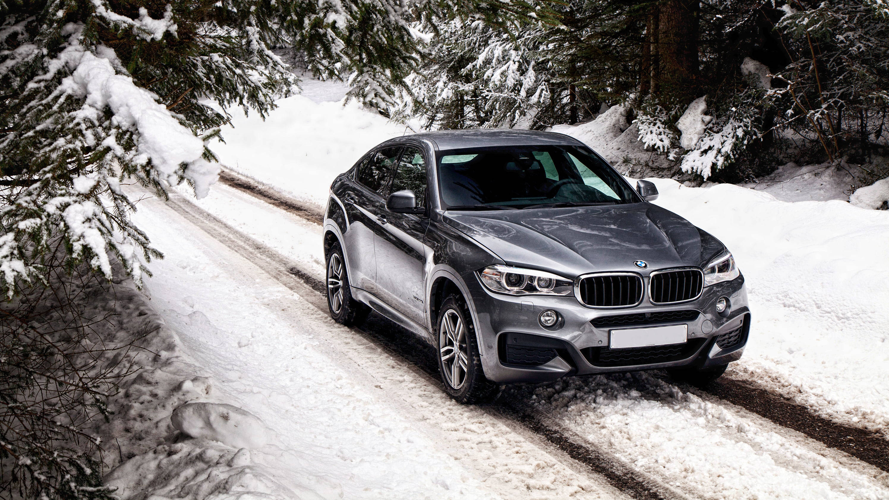 m 桌布 壁紙 — 一輛時尚的銀色BMW X6 SUV在白雪覆蓋的森林道路上行駛，兩旁是沾滿雪花的常青樹。