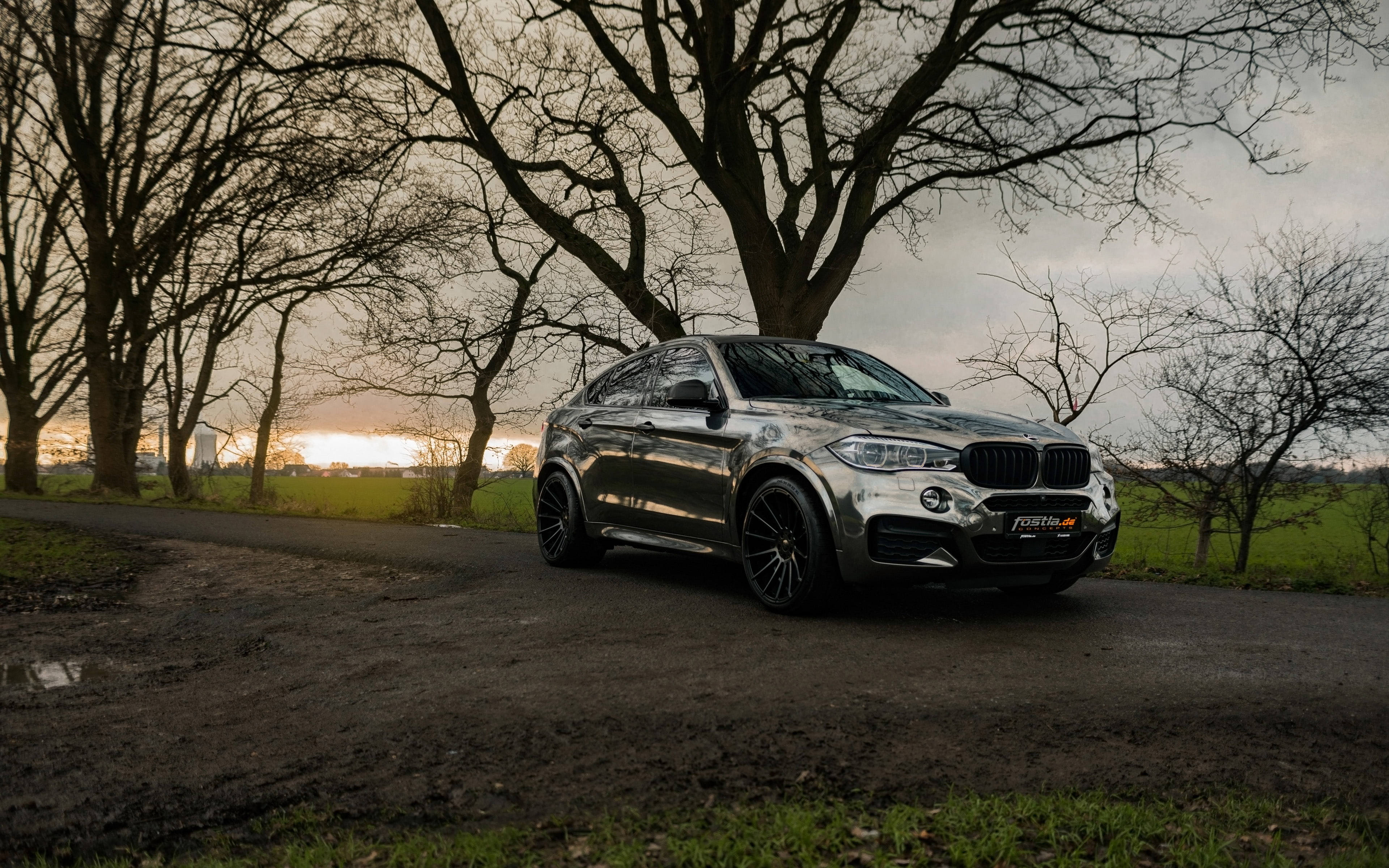 m 桌布 壁紙 — 一輛時尚的銀色BMW X6停在一條泥路上，周圍是光禿禿的樹木，背景是充滿氛圍的日落。