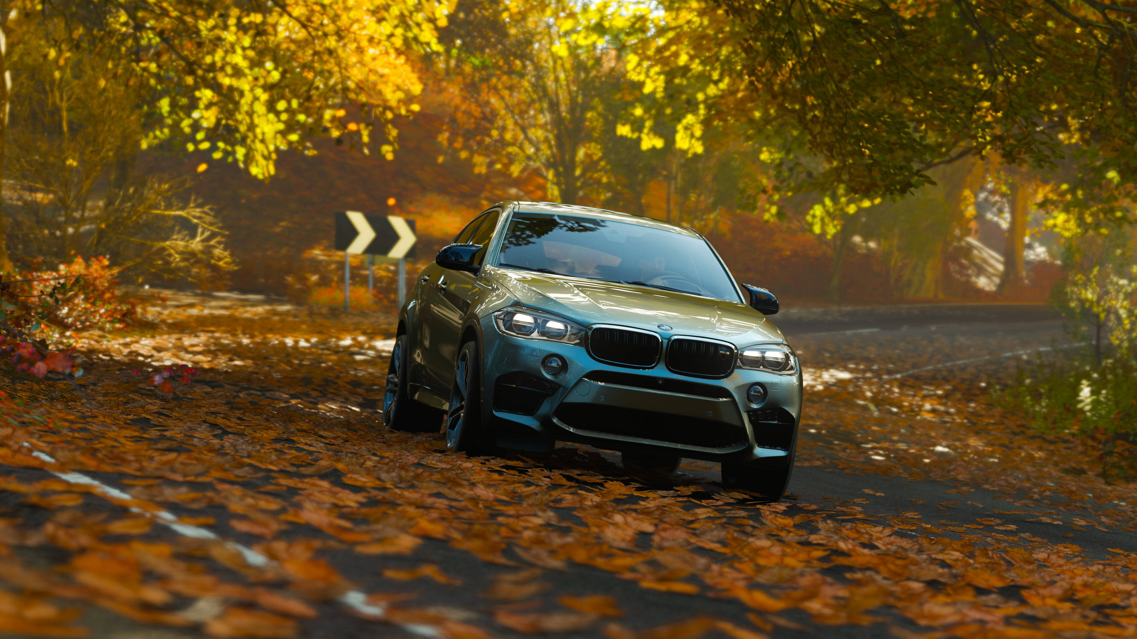 m 桌布 壁紙 — 一輛時尚的銀色BMW X6在溫暖陽光下行駛在鋪滿金色秋葉的森林道路上。