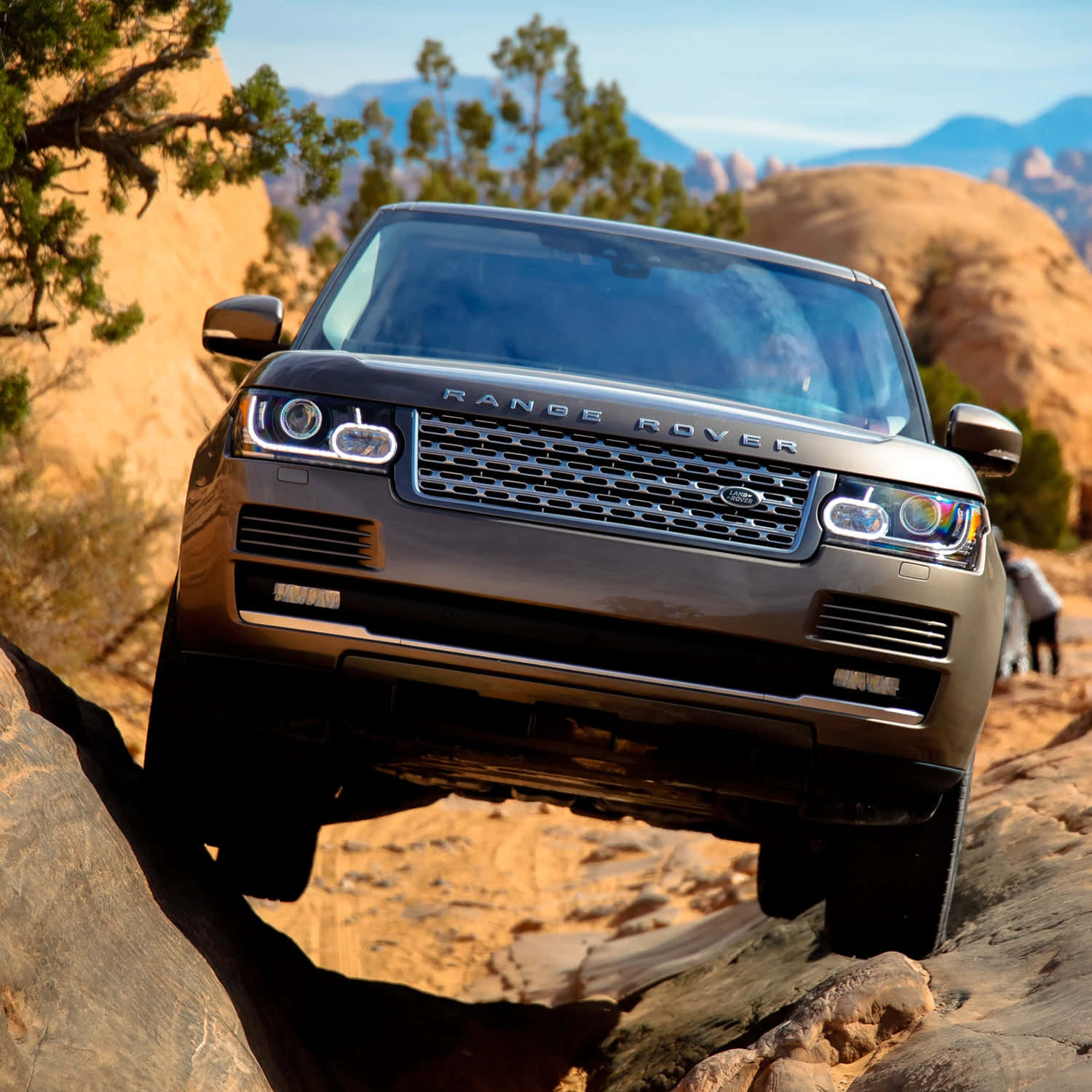 Range Rover 桌布 壁紙 — 一輛時尚的銀色Range Rover在明亮的日光下征服崎嶇的沙漠岩石，遠山和稀疏樹木為背景。