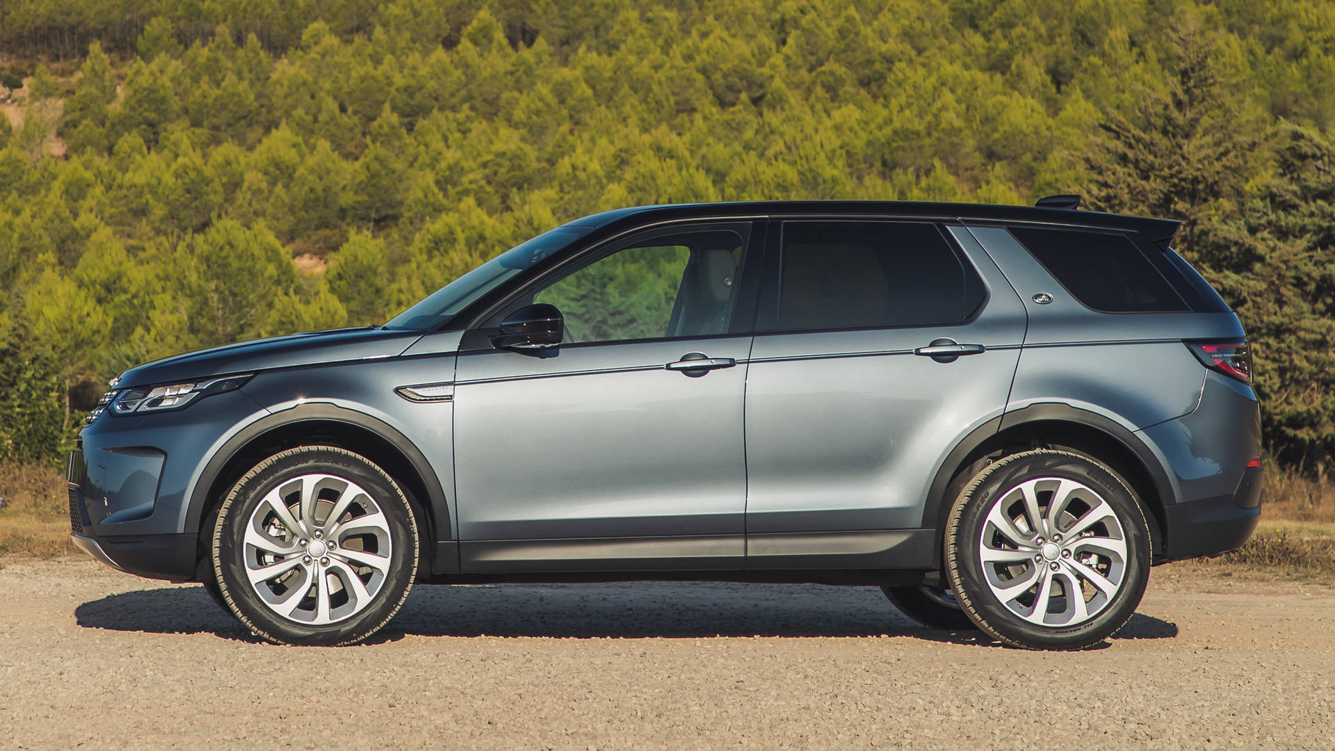 land rover iPhone 桌布 壁紙 — 一輛時尚的銀色SUV停在碎石路上，背景是茂密的綠色松樹，在明亮的日光下。