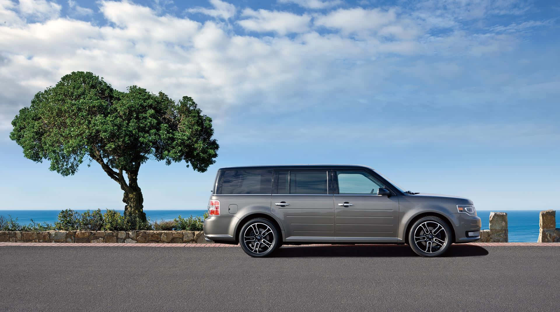 Ford Flex 桌布 壁紙 — 一輛時尚的銀色SUV停泊在沿海公路上，旁邊有一棵孤樹，背景是海洋和藍天。