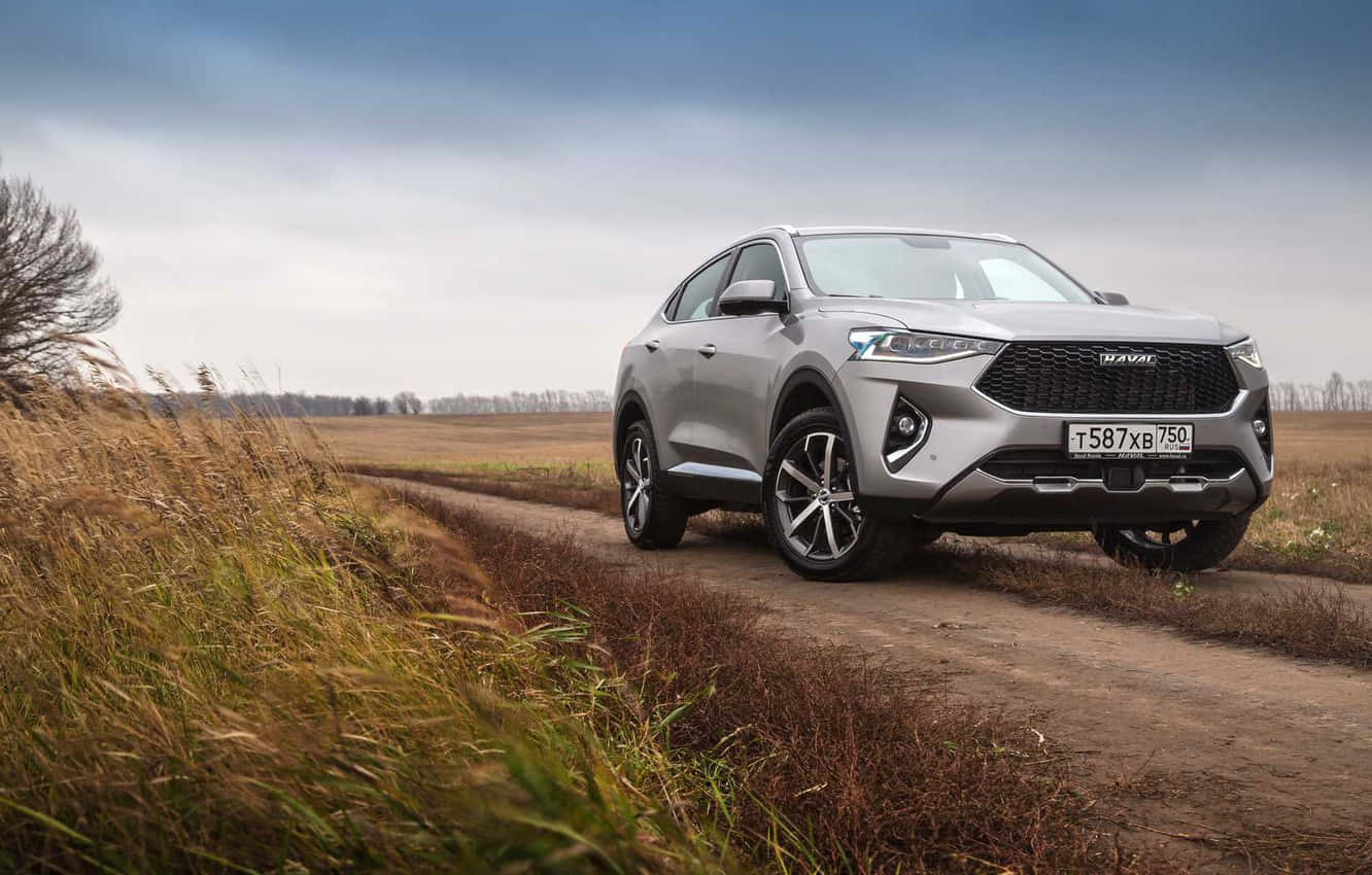 Haval 桌布 壁紙 — 一輛時尚的銀色SUV在陰天下行駛在穿過乾燥草地的泥路上。