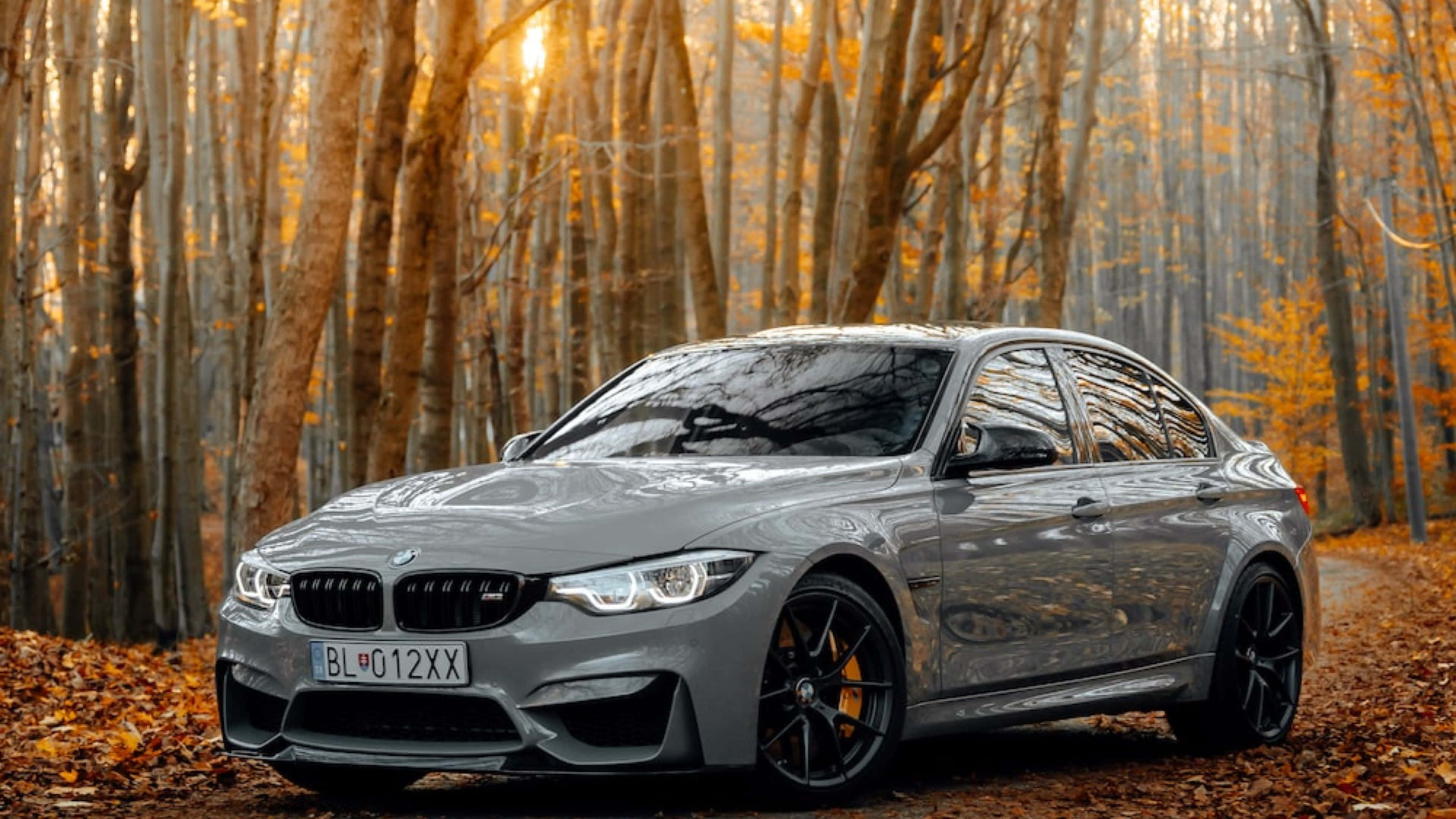 4K BMW 壁紙 桌布 壁紙 — 一輛時尚的銀色寶馬轎車停泊在落葉鋪滿的森林小徑上，沐浴在穿過高聳樹木的秋日金色陽光中。