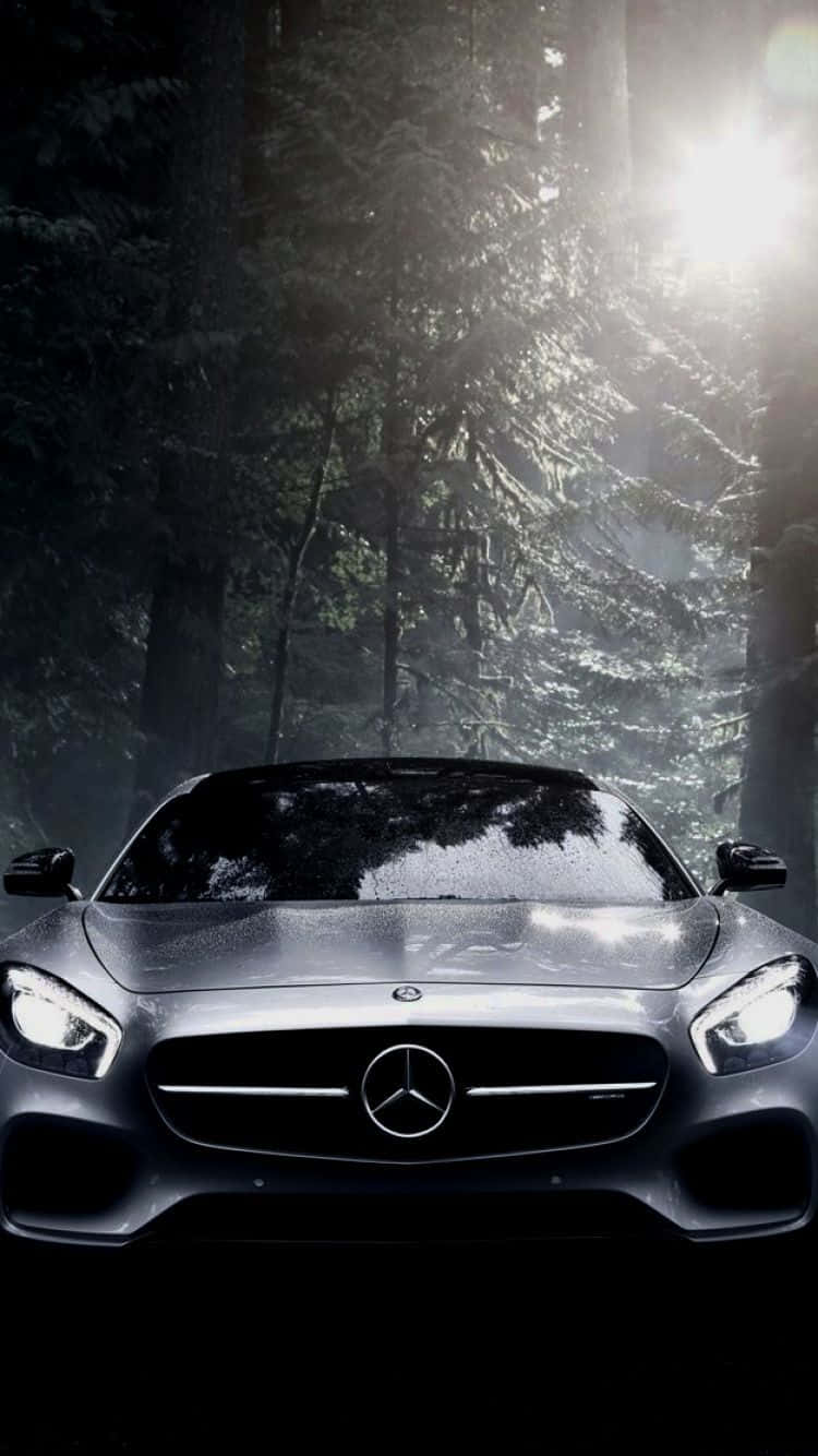 Classic Mercedes 桌布 壁紙 — 一輛時尚的銀色梅賽德斯跑車在穿過茂密黑暗森林的明亮陽光下閃閃發光。