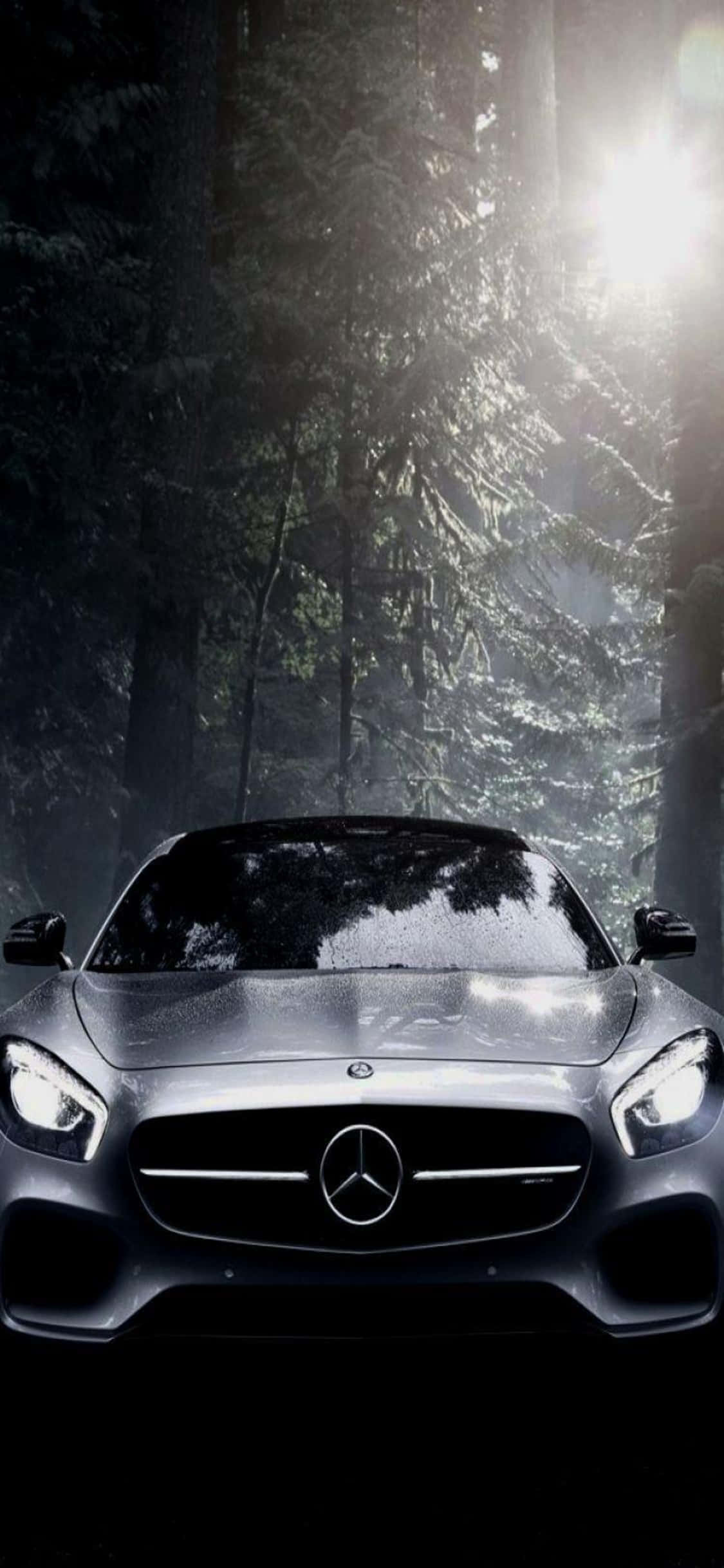Mercedes 桌布 壁紙 — 一輛時尚的銀色梅賽德斯跑車在穿過茂密黑暗森林的明亮陽光下閃閃發光。