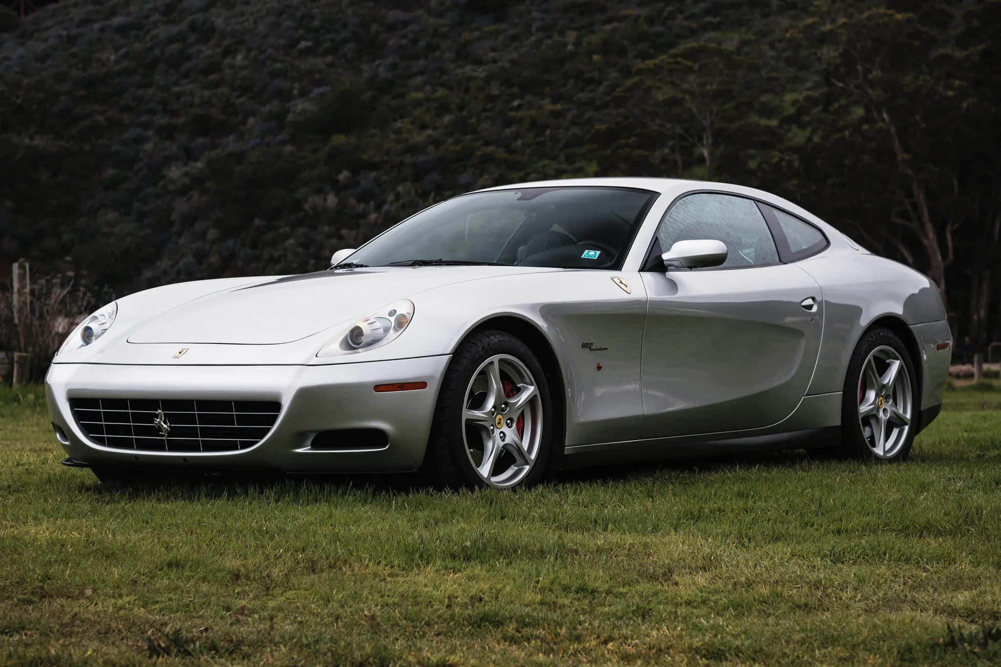 Ferrari 612 Scaglietti 桌布 壁紙 — 一輛時尚的銀色法拉利跑車停在草地上，背景有樹木。