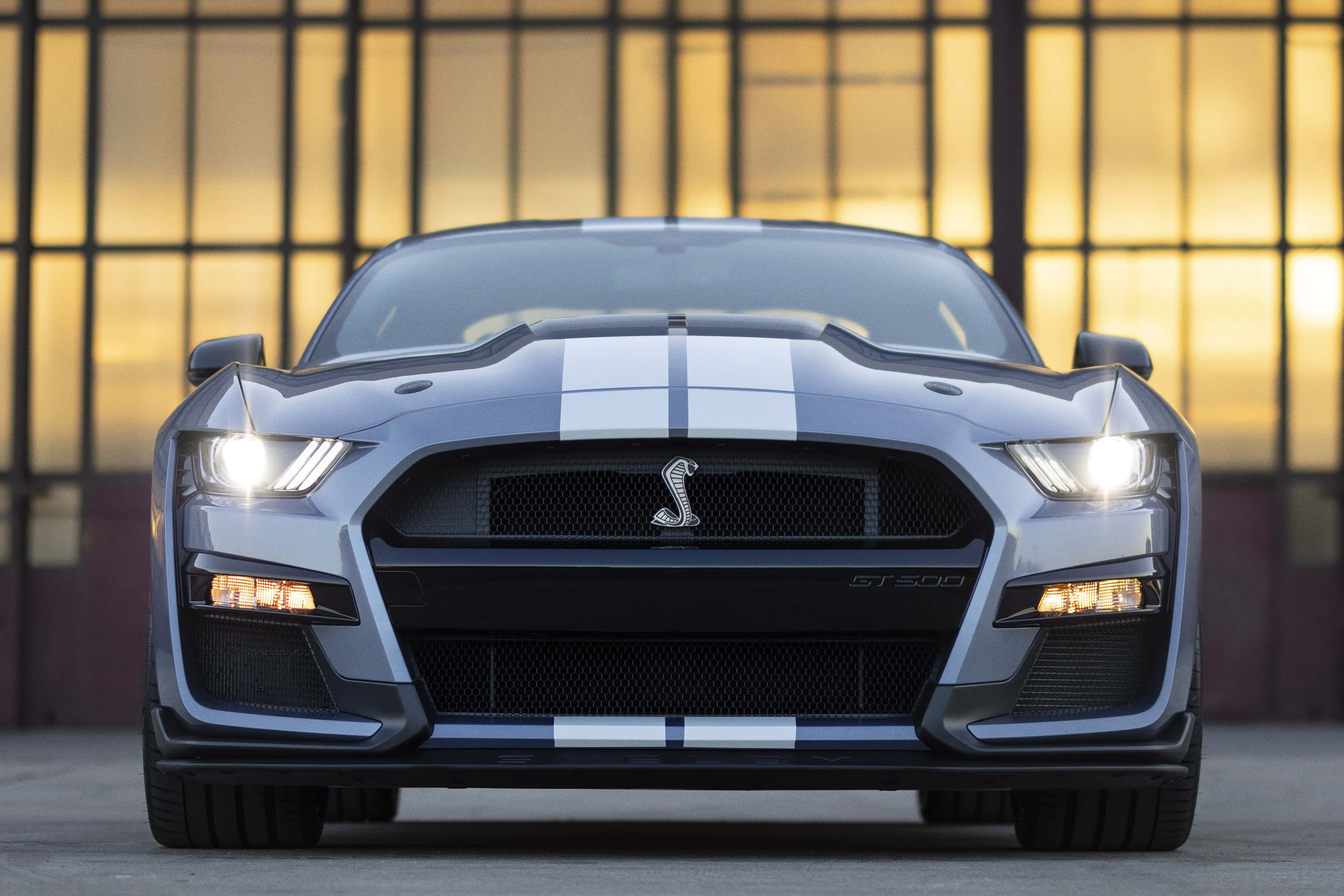 野馬GIF 桌布 壁紙 — 一輛時尚的銀色福特野馬Shelby GT500，帶有白色賽車條紋，車頭向前，車燈亮著，背景是金色夕陽映照的工業窗戶。