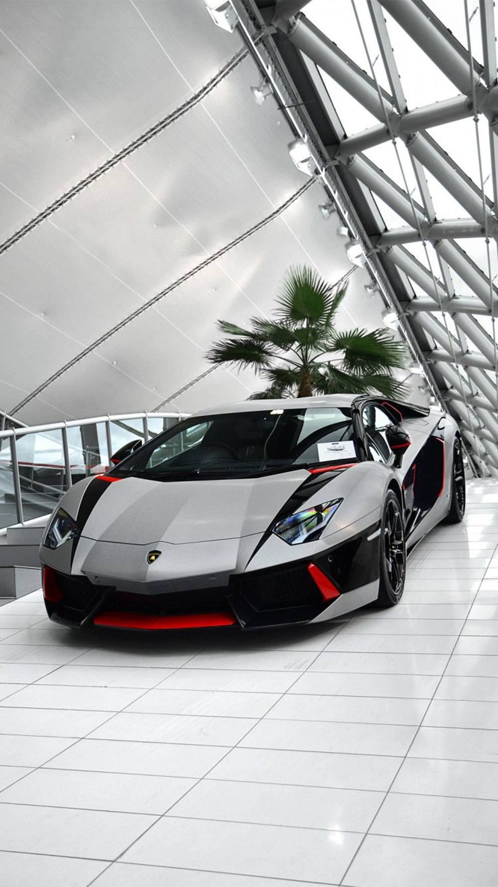 汽車 桌布 壁紙 — 一輛時尚的銀色藍寶堅尼Aventador帶有紅色點綴，停放在白色瓷磚地板上，上方是現代化的玻璃和鋼結構屋頂，周圍有棕櫚樹。