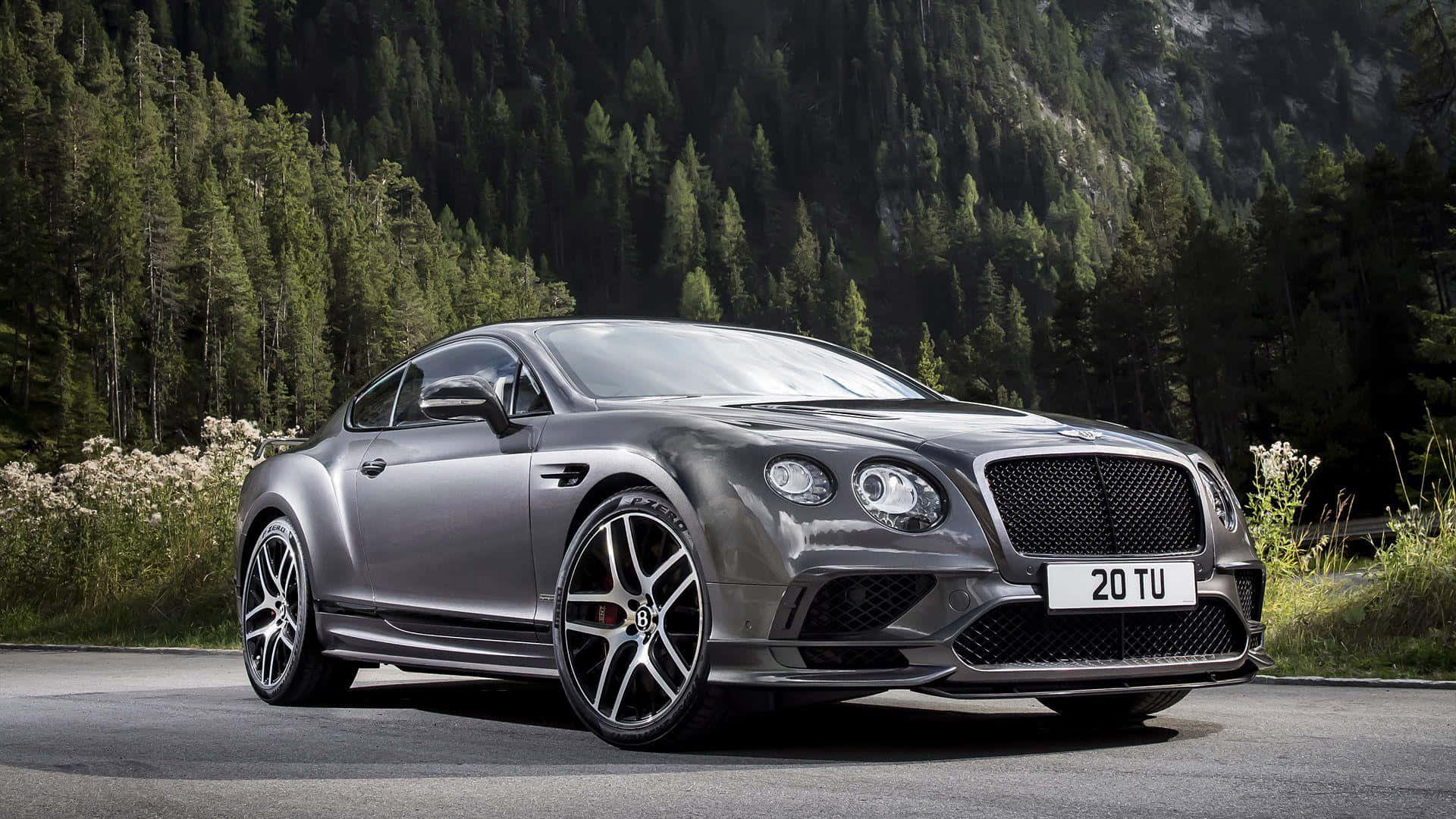 bentley HD 桌布 壁紙 — 一輛時尚的銀色賓利 Continental GT 在兩旁茂密常綠森林的山路上飛馳。