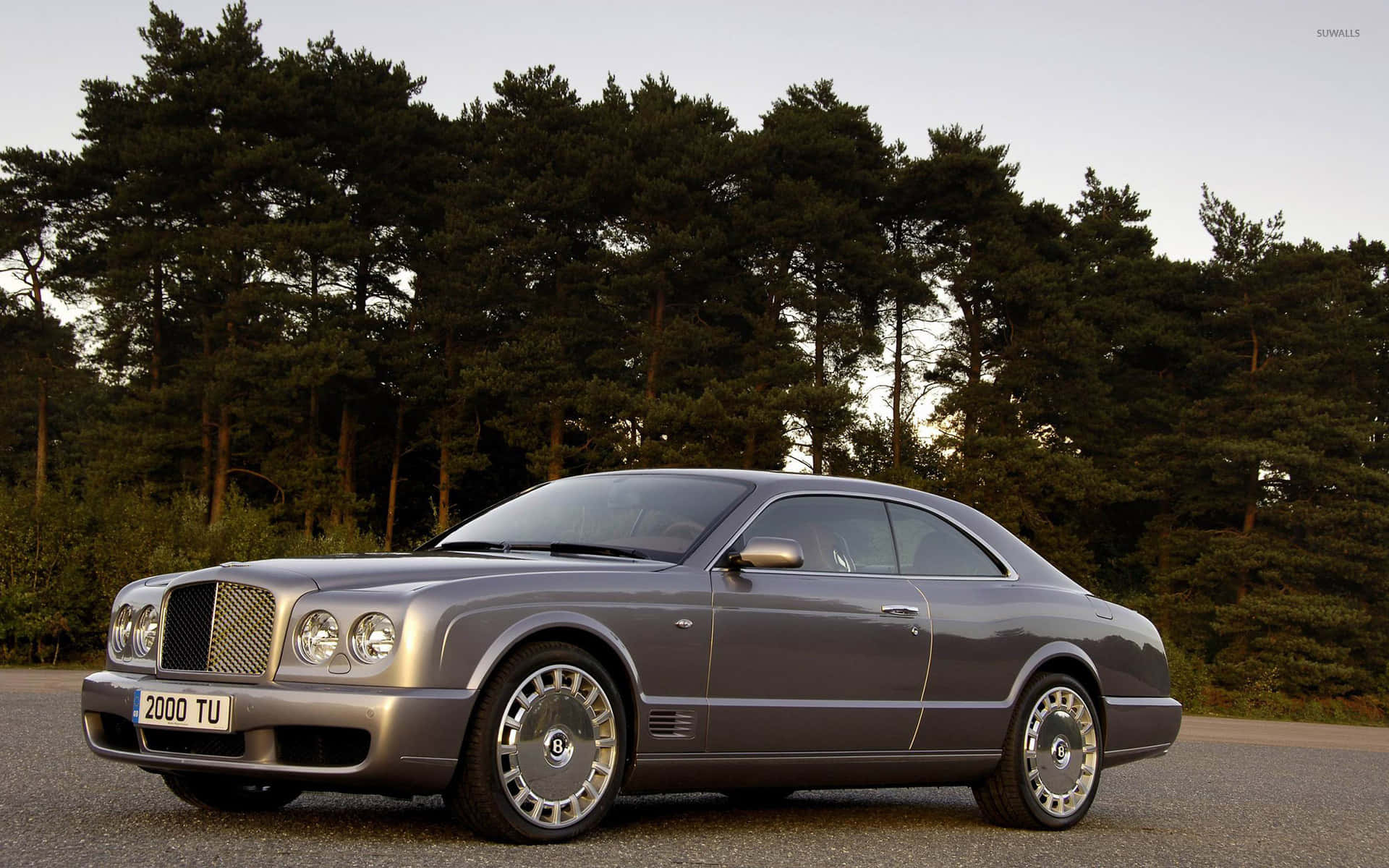 Bentley Brooklands 桌布 壁紙 — 一輛時尚的銀色賓利 Continental GT 雙門跑車停泊在碎石路上，背景是黃昏時分高大的松樹。