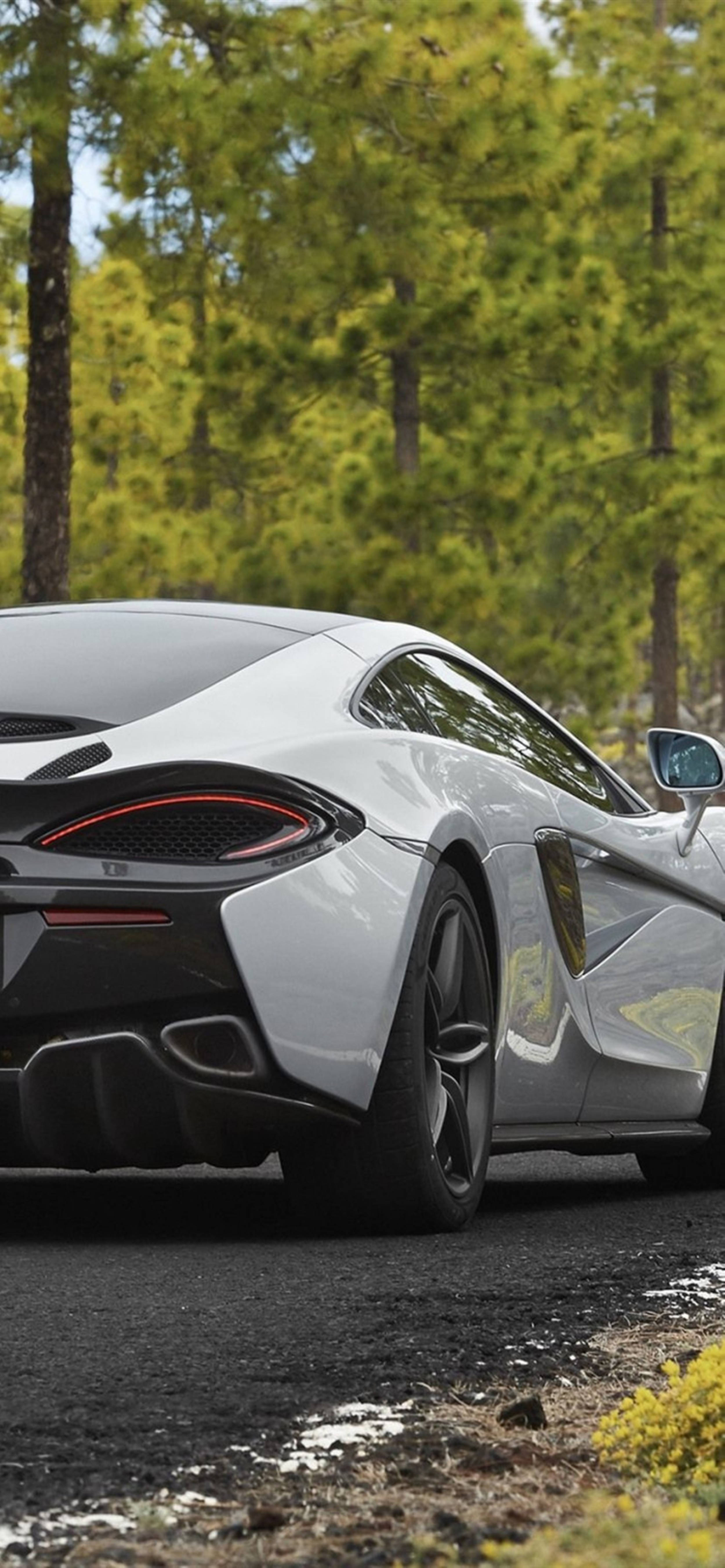 Luxury 桌布 壁紙 — 一輛時尚的銀色跑車停在森林道路上，前景有鮮綠的樹木和黃色野花。