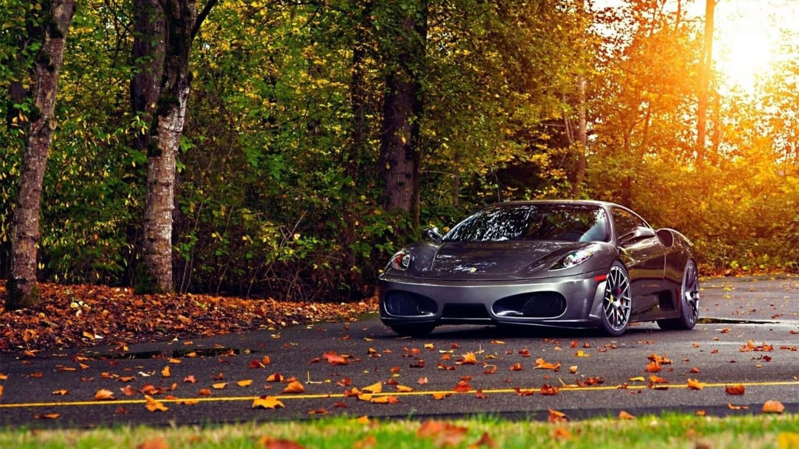 Ferrari F430 桌布 壁紙 — 一輛時尚的銀色跑車停泊在鋪滿落葉的道路上，沐浴在穿過樹木的金色秋日陽光中。