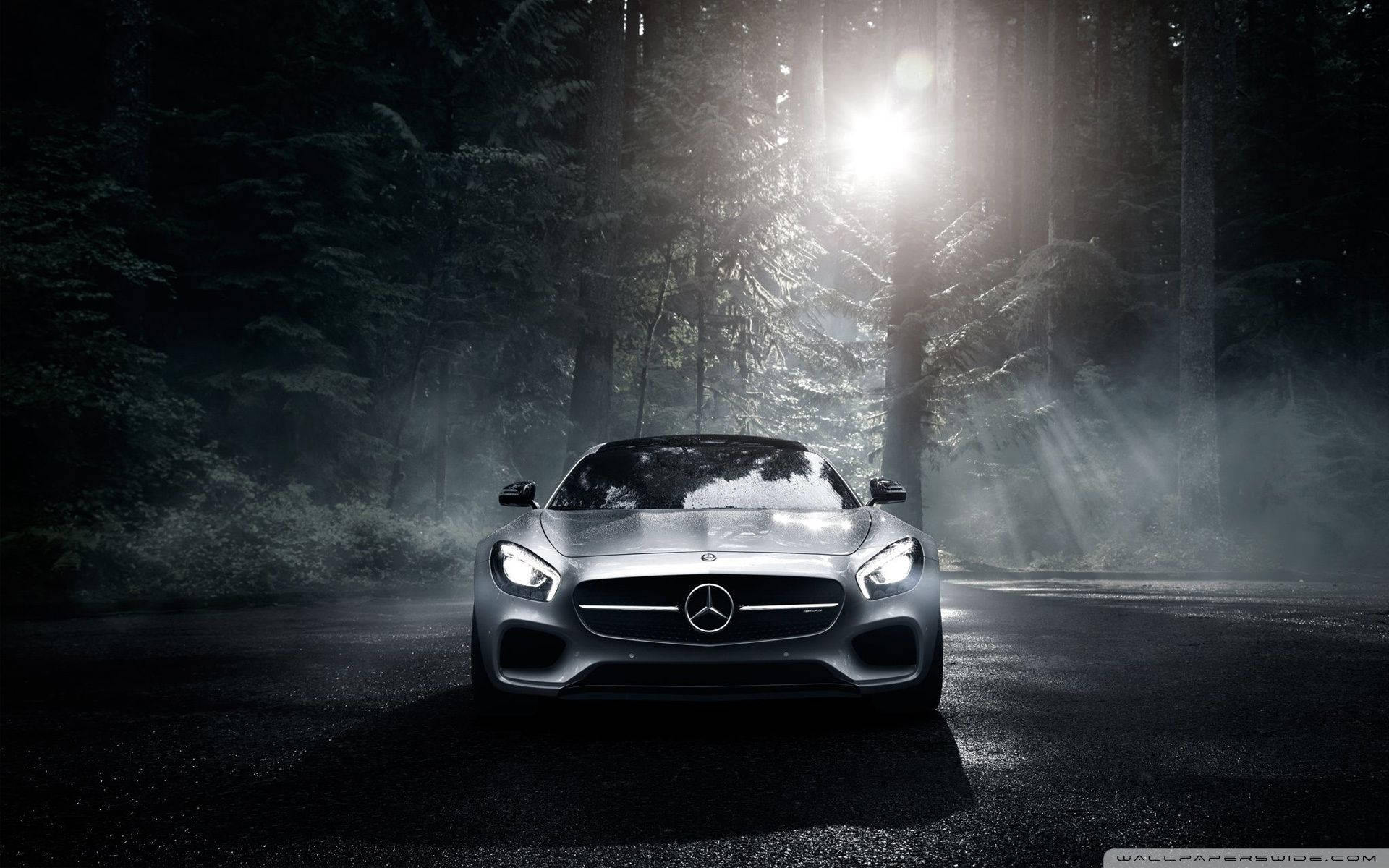 Mercedes 桌布 壁紙 — 一輛時尚的銀色跑車在穿過霧氣樹林的戲劇性森林陽光下閃耀。