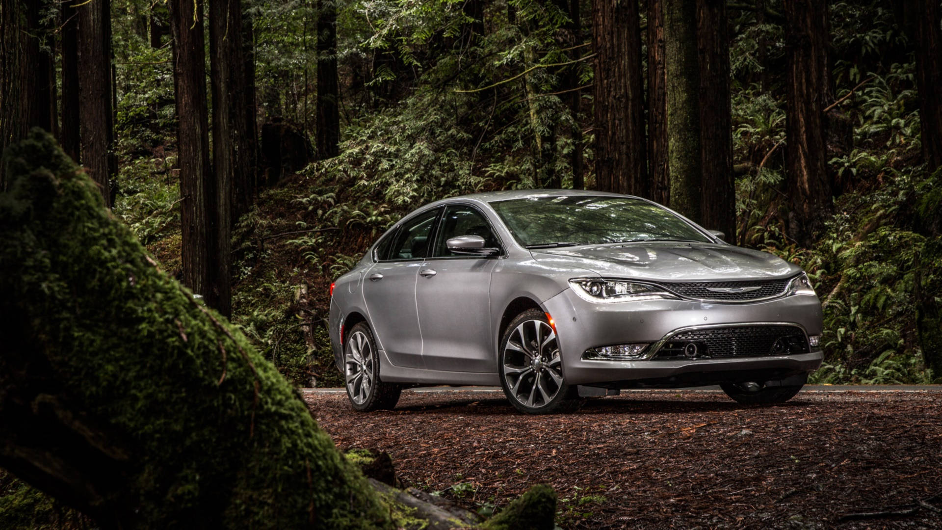 Chrysler 桌布 壁紙 — 一輛時尚的銀色轎車停泊在森林小徑上，周圍是高聳的苔蘚樹木和斑駁的陽光。