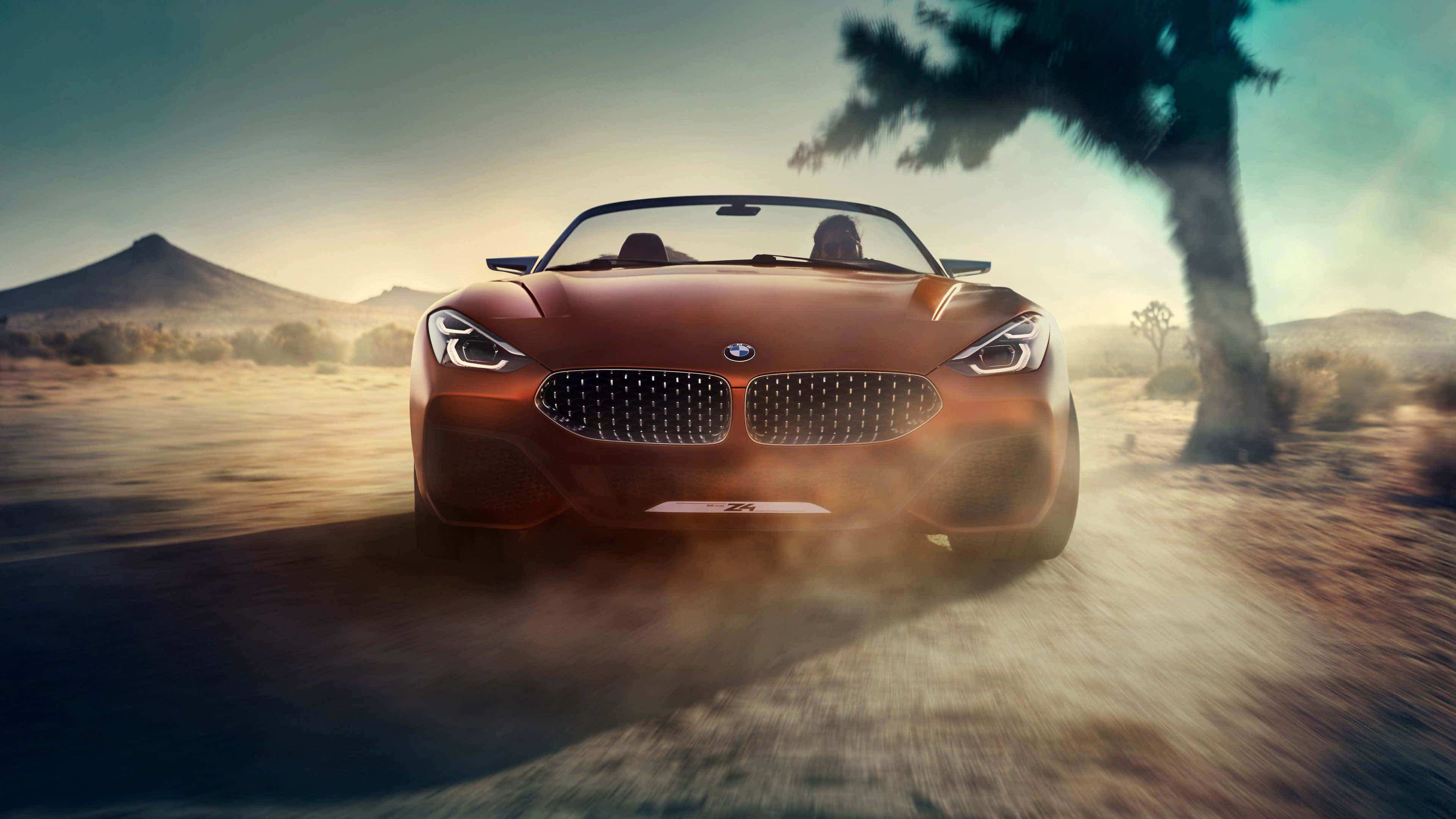 Bmw Z4 桌布 壁紙 — 一輛時尚的青銅色敞篷跑車在塵土飛揚的沙漠景觀中疾馳，背景有棕櫚樹和遠山，天空朦朧。