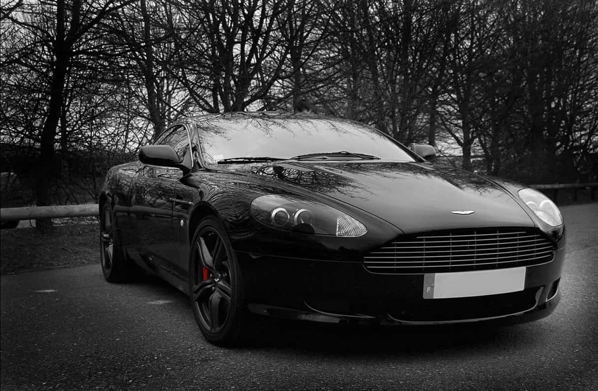 Aston Martin Db9 桌布 壁紙 — 一輛時尚的黑色Aston Martin跑車停泊在有一排光禿樹木的道路上，單色場景中紅色制動卡鉗格外突出。