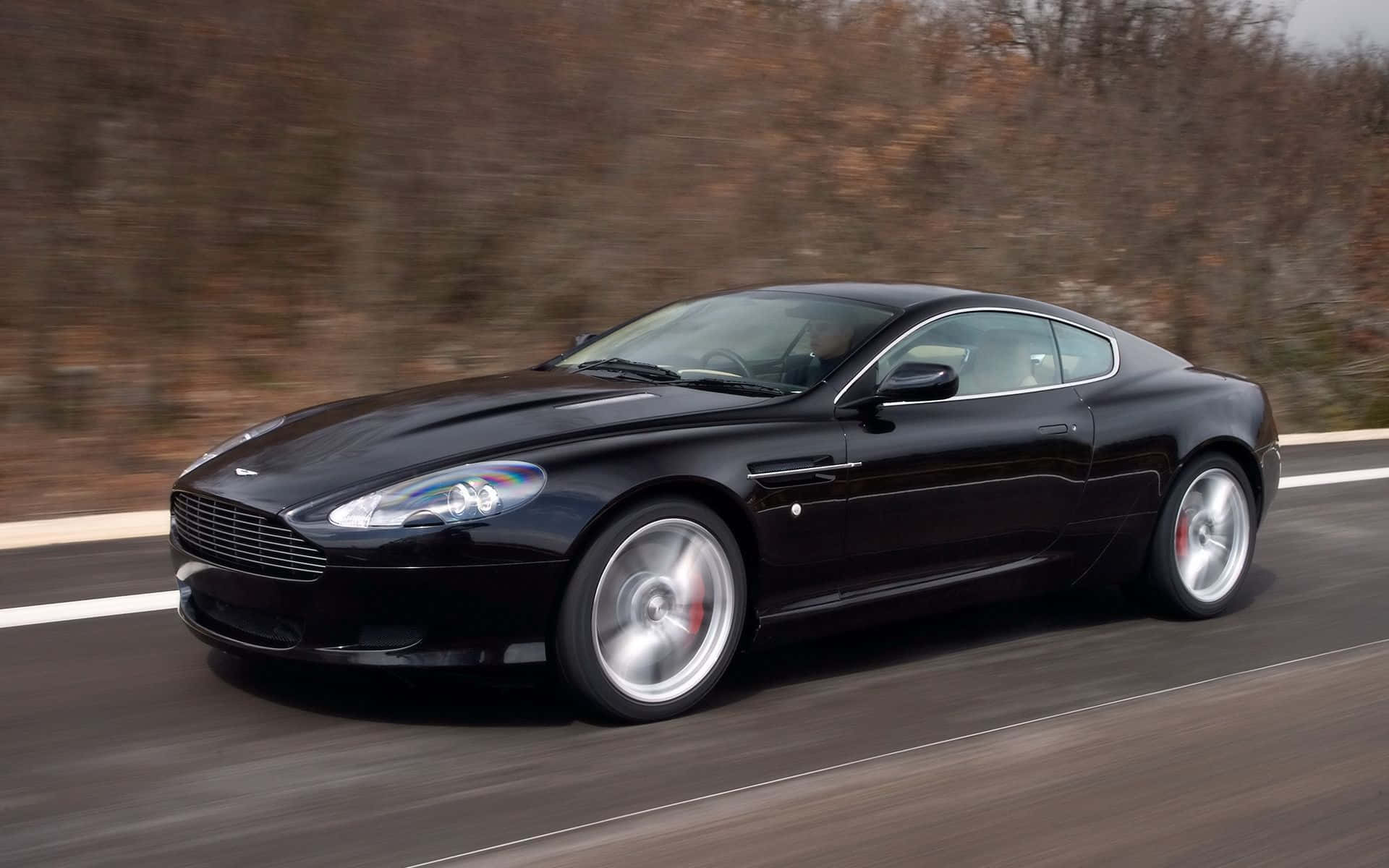 Aston Martin Db9 桌布 壁紙 — 一輛時尚的黑色Aston Martin跑車在道路上奔馳，背景是模糊的秋樹。