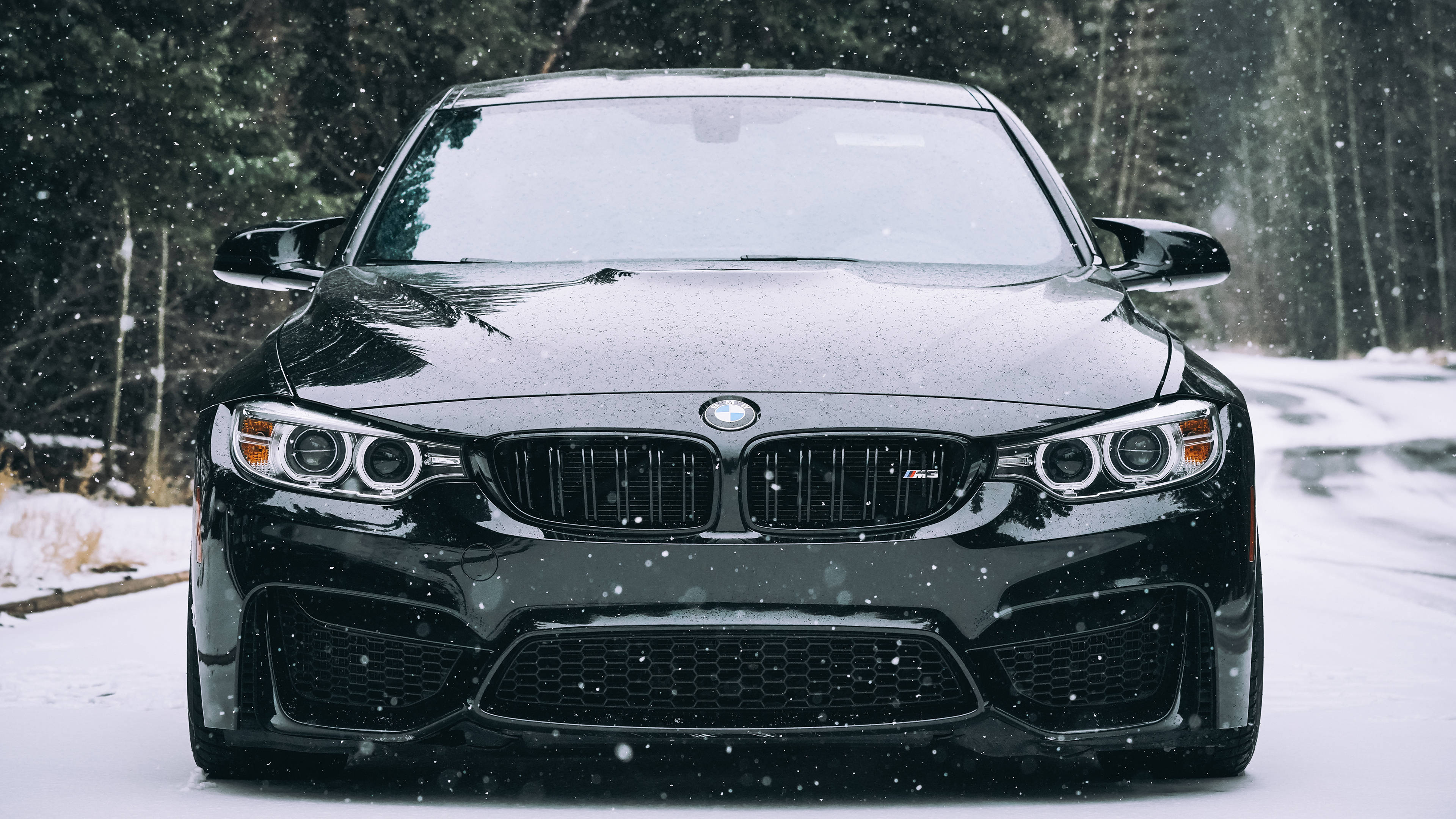 4K BMW 壁紙 桌布 壁紙 — 一輛時尚的黑色BMW M4跑車停在雪路上，背景有飄落的雪花和常青樹。