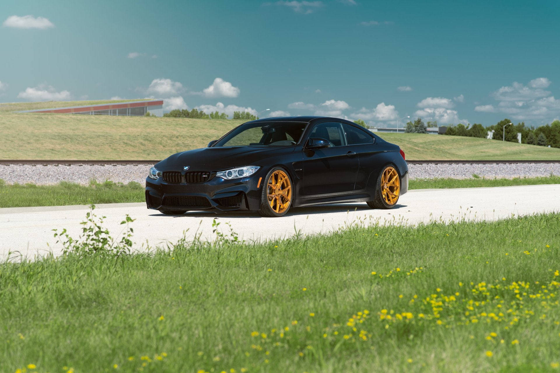 黑色BMW M4跑車配金色輪圈，停泊在陽光明媚的藍天下草地路邊。