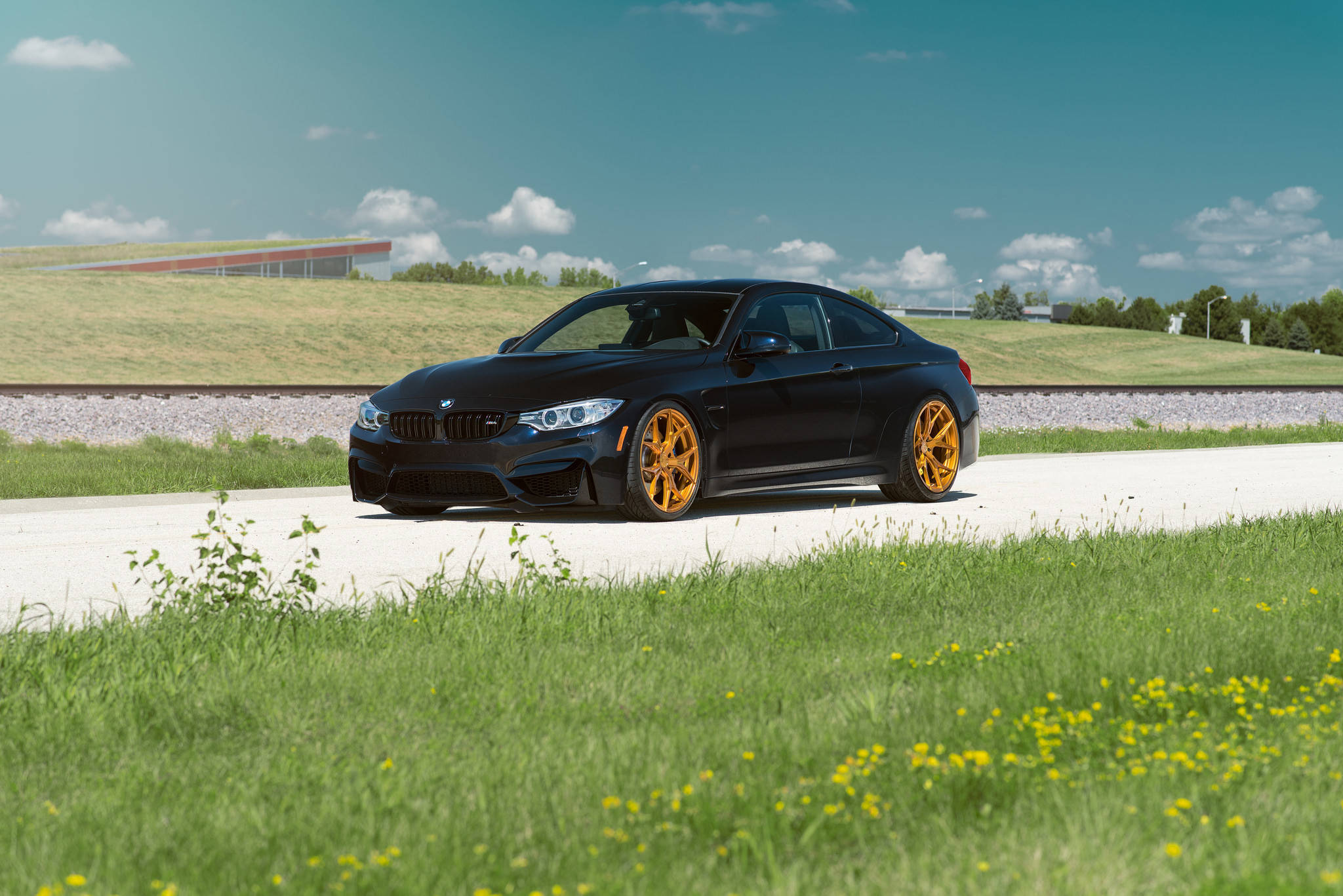 BMW 動圖 桌布 壁紙 — 一輛時尚的黑色BMW M4雙門轎跑車，配以鮮豔的金色輪圈，停泊在鋪砌的道路上，周圍是茂密的綠草和野花，天空湛藍，白雲點點。