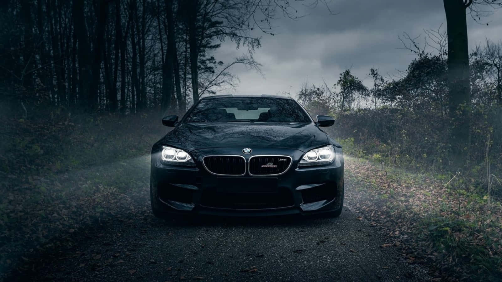 Bmw Tablet 桌布 壁紙 — 一輛時尚的黑色BMW M6跑車，配備發光的車頭燈，在陰暗多雲的天空下行駛在霧氣瀰漫的森林道路上。