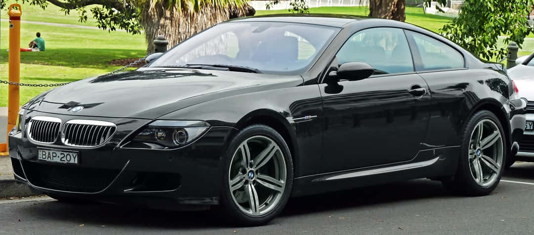 Bmw M6 桌布 壁紙 — 一輛時尚的黑色BMW M6雙門跑車停泊在林蔭大道上，背景中有人坐在草地上。