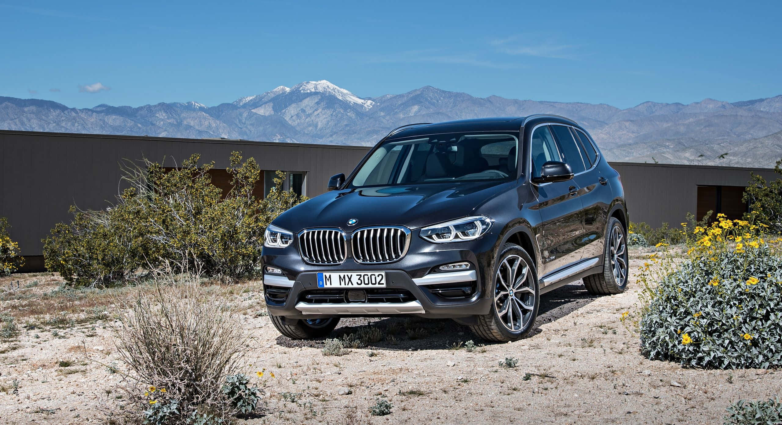 Bmw X3 桌布 壁紙 — 一輛時尚的黑色BMW X3 SUV停在沙漠景觀中，背景是白雪覆蓋的山脈，天空清澈湛藍。