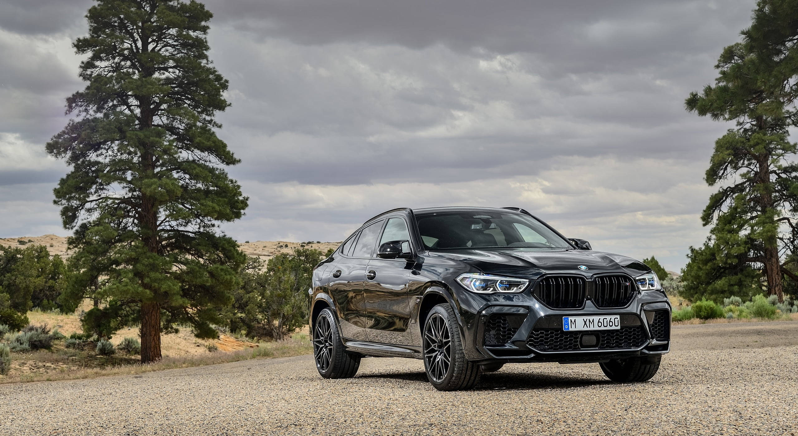 m 桌布 壁紙 — 一輛時尚的黑色BMW XM SUV停泊在碎石路上，兩旁是高聳的松樹，天空多雲。