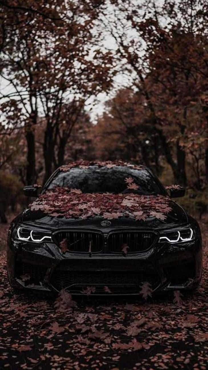 iPhone 桌布 壁紙 — 一輛時尚的黑色BMW跑車停泊在秋樹下，深紅色的樹葉覆蓋著引擎蓋和森林地面。