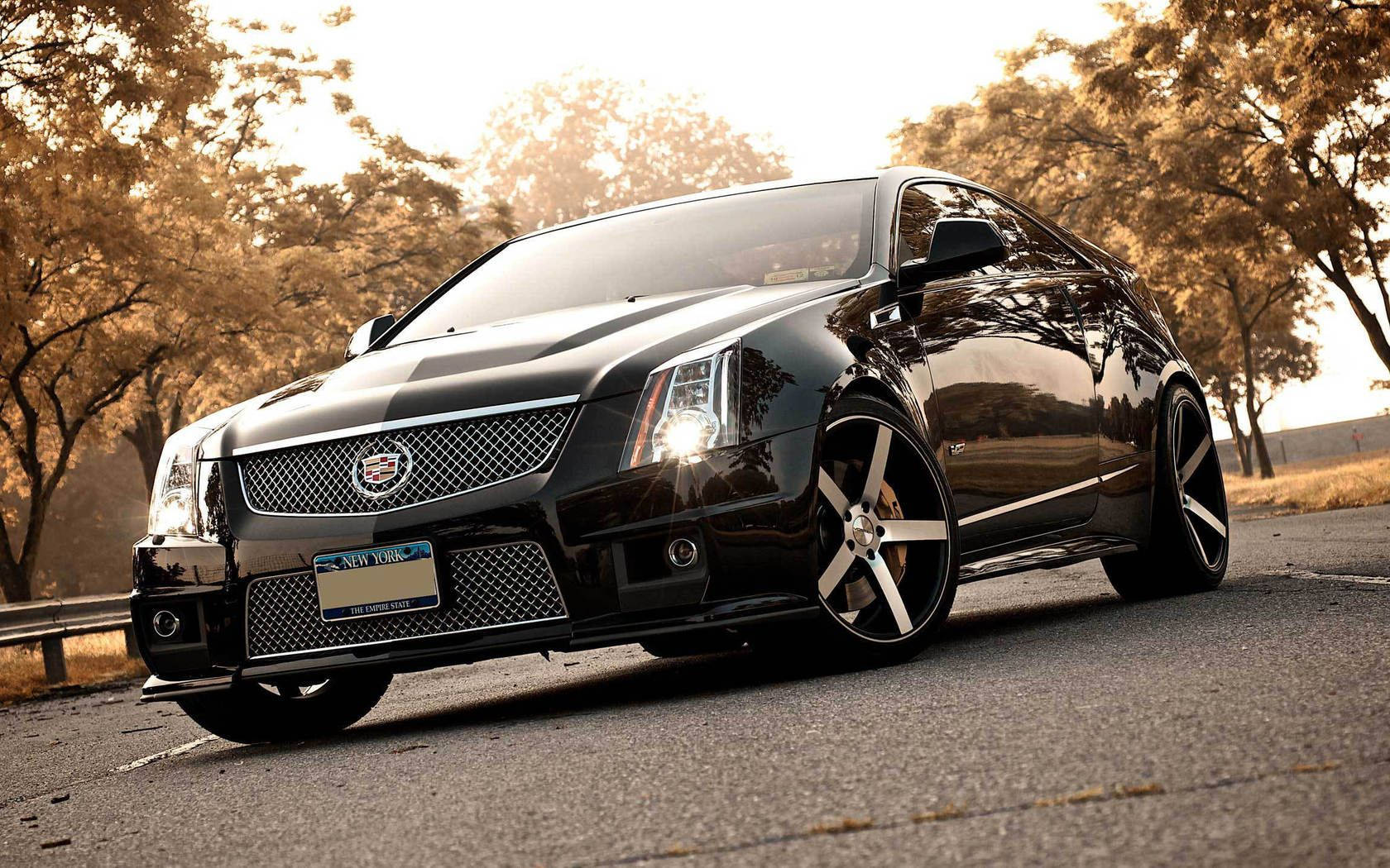 Cadillac 桌布 壁紙 — 一輛時尚的黑色Cadillac CTS-V轎跑車在金色夕陽下閃耀，行駛在樹木成行的道路上。