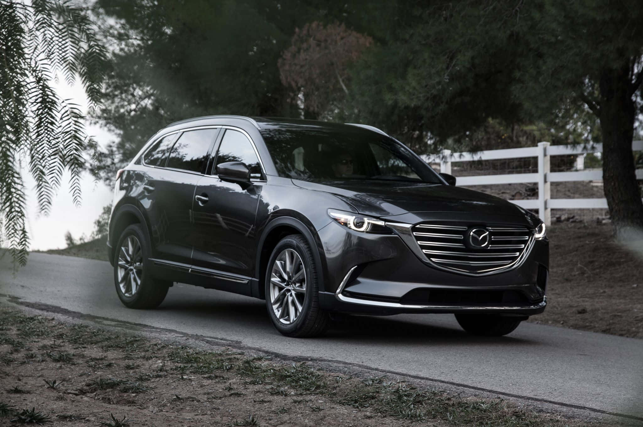 Mazda Cx-9 桌布 壁紙 — 一輛時尚的黑色Mazda CX-9 SUV沿著綠樹成蔭的鄉村道路行駛，背景是白色柵欄。