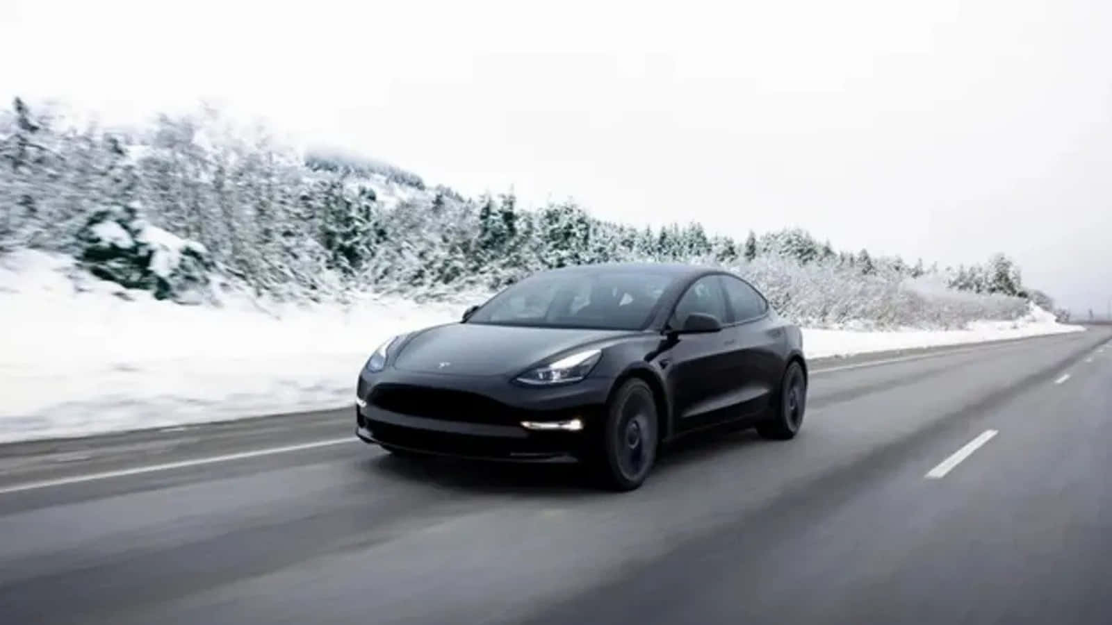 特斯拉 桌布 壁紙 — 一輛時尚的黑色Tesla Model Y在陰天下行駛在兩旁長滿常青樹的雪地高速公路上。
