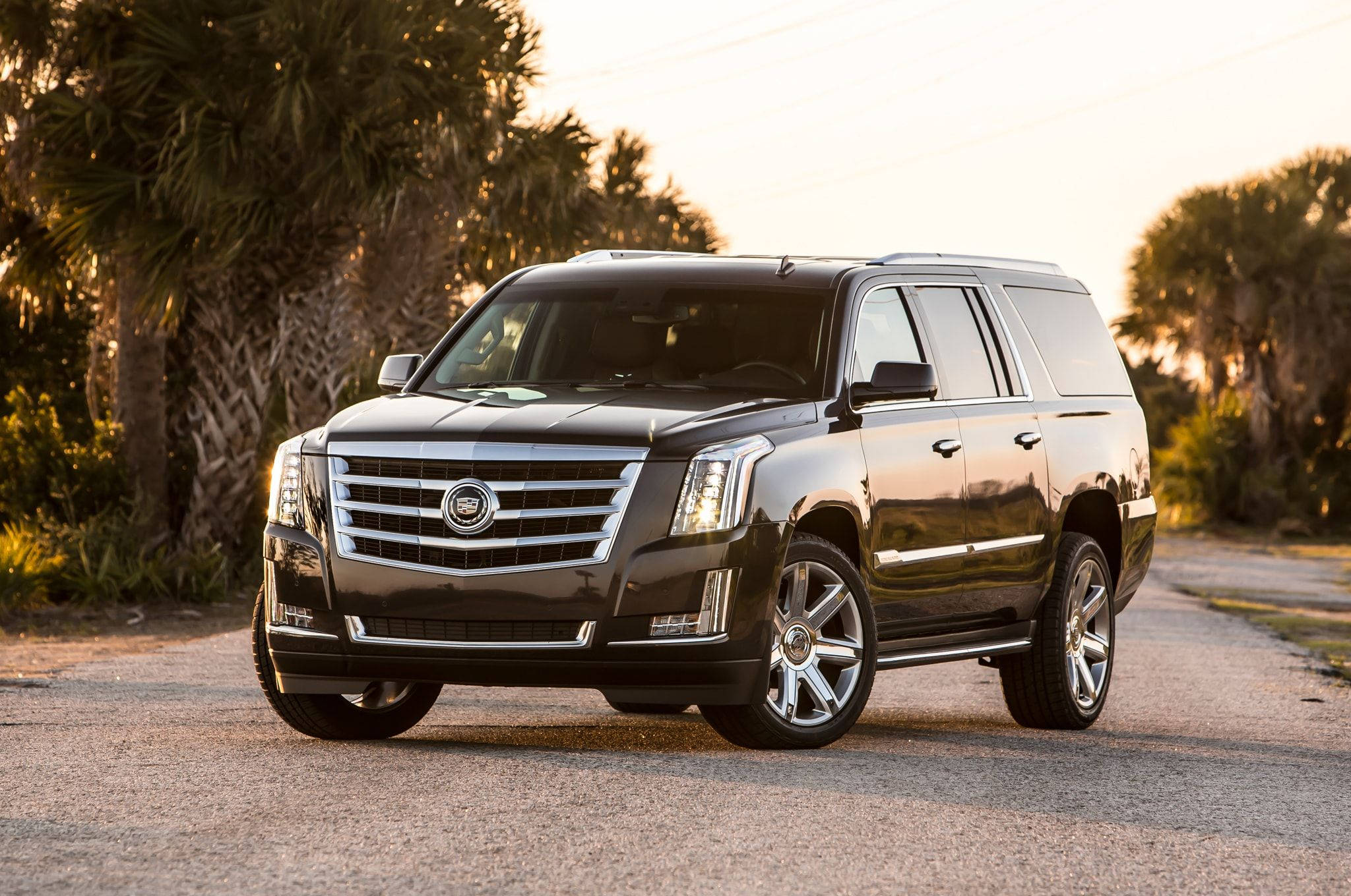 Cadillac 桌布 壁紙 — 一輛時尚的黑色凱迪拉克SUV在金色夕陽下，在棕櫚樹成蔭的碎石路上閃閃發光。