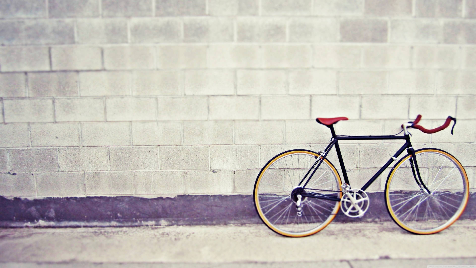 Bicycle 桌布 壁紙 — 一輛時尚的黑色固定齒輪自行車，配有紅色座椅和金色輪圈，倚靠在混凝土人行道上一面風化的灰色磚牆上。