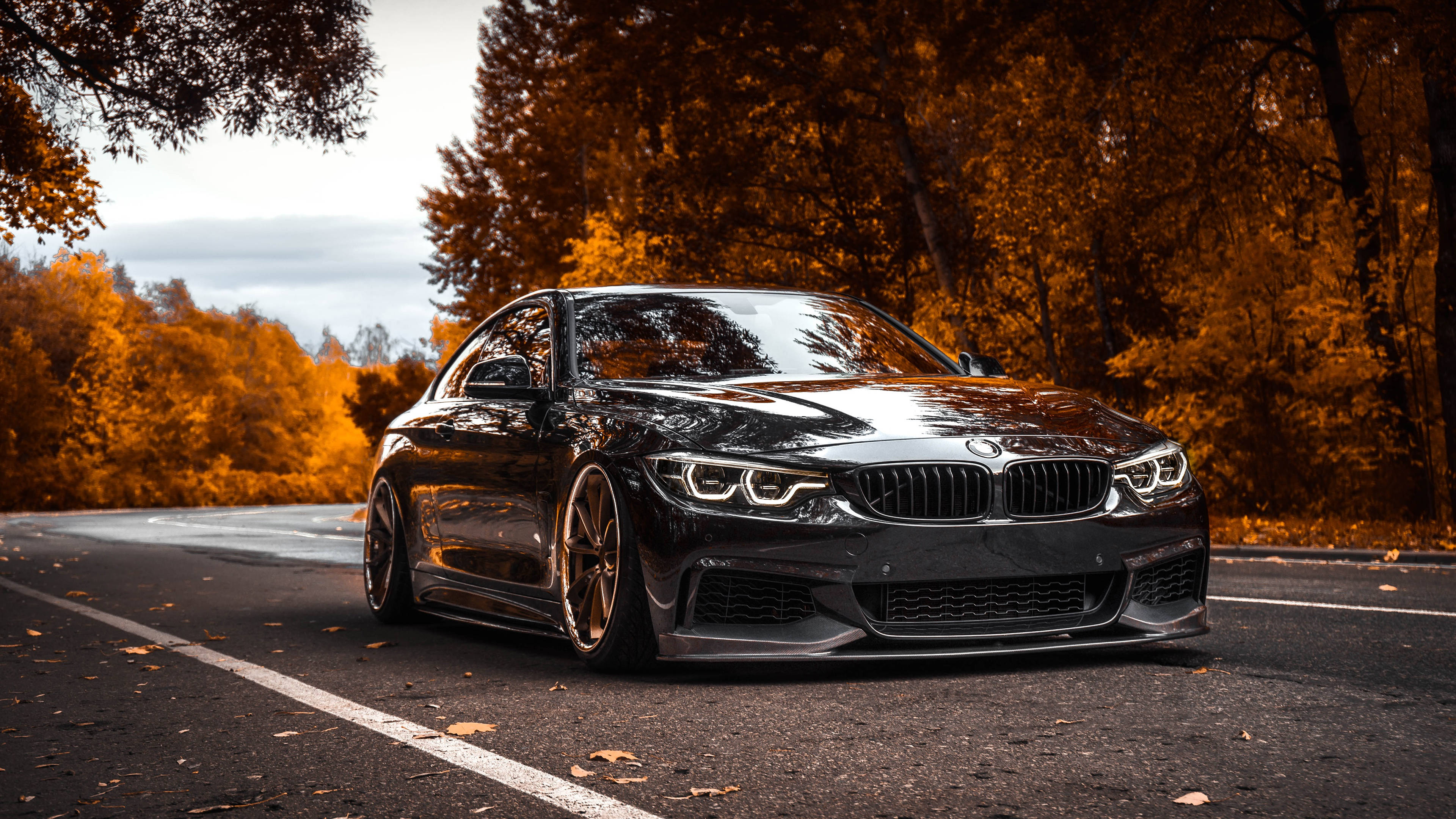 4K BMW 壁紙 桌布 壁紙 — 一輛時尚的黑色寶馬雙門轎跑車停在森林道路上，周圍是充滿活力的秋葉。