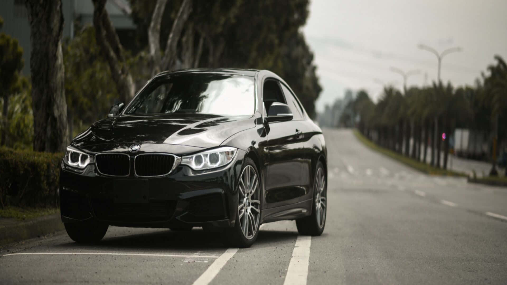 Bmw M4 桌布 壁紙 — 一輛時尚的黑色寶馬雙門轎跑車停泊在林蔭大道上，天空多雲。