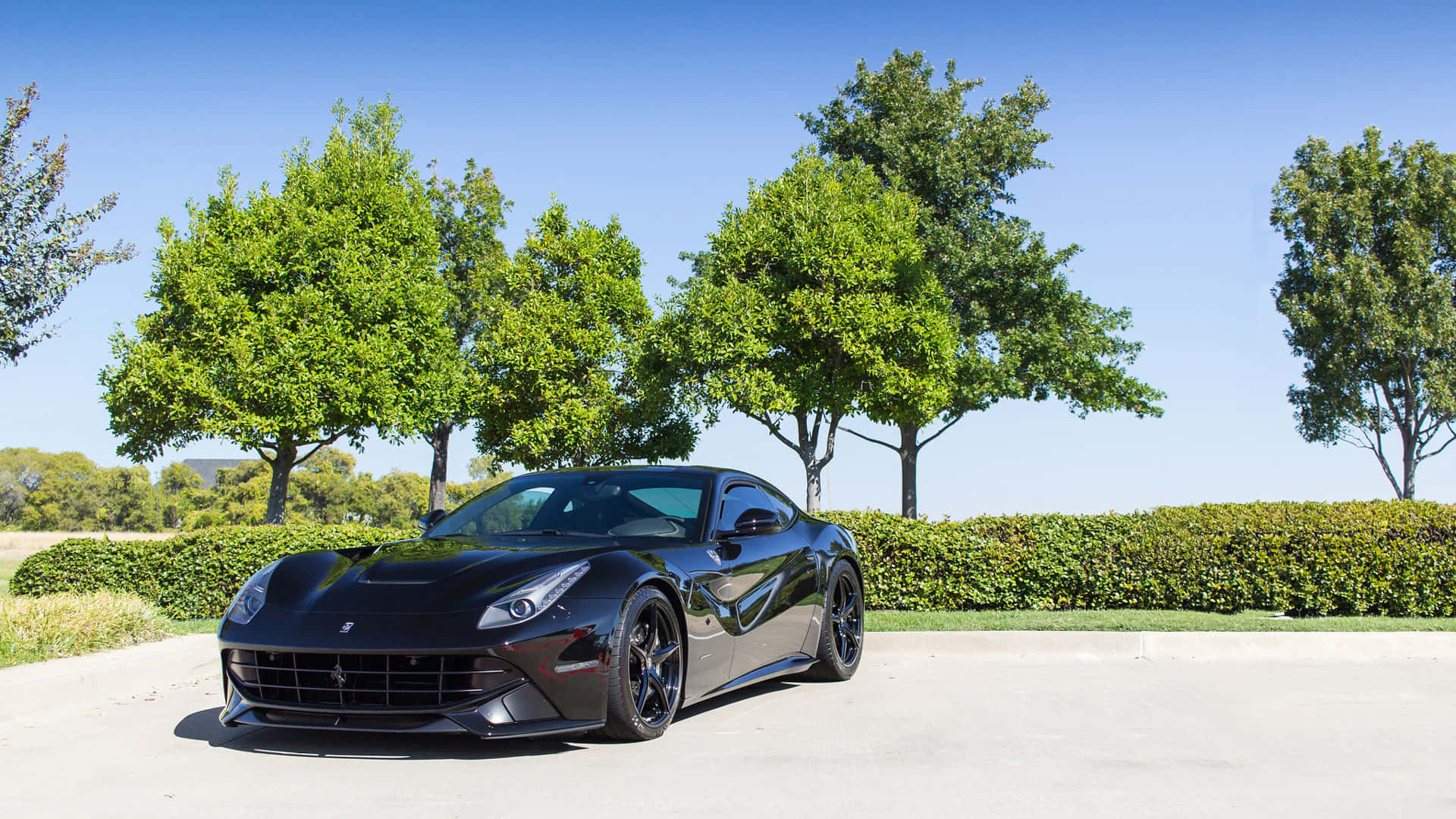 Ferrari F12 Berlinetta 桌布 壁紙 — 一輛時尚的黑色法拉利F12停放在鋪砌的車道上，背景是晴朗的藍天和茂密的綠樹及樹籬。