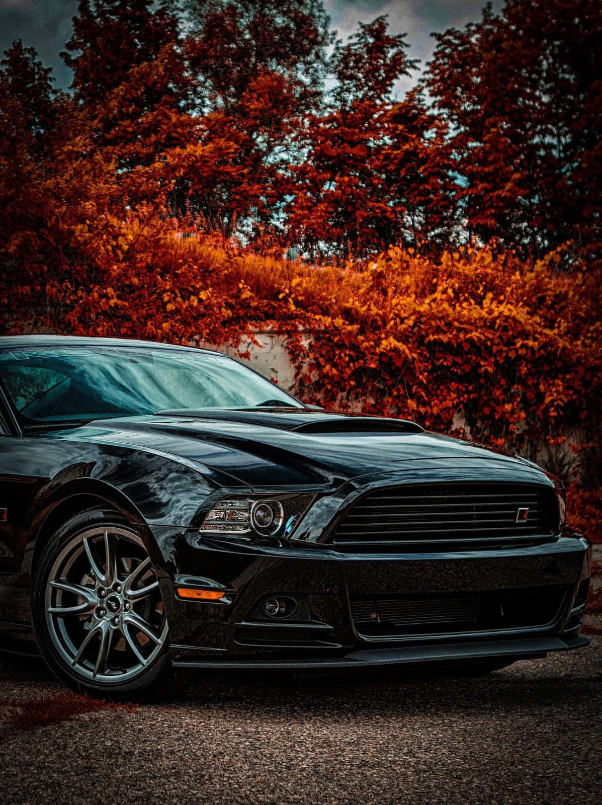 Best Car 桌布 壁紙 — 一輛時尚的黑色福特野馬跑車停放在熾熱的橙色秋葉前，天空陰沉。