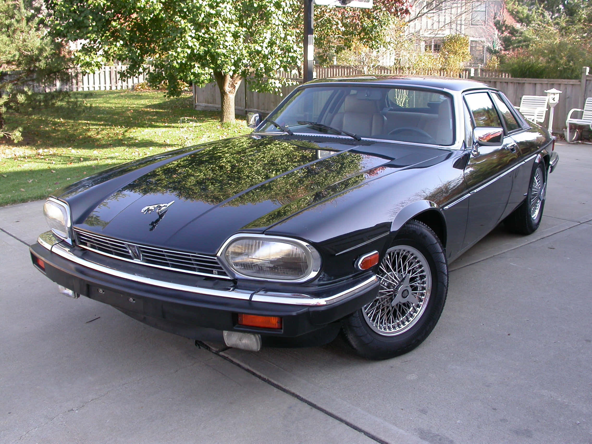 Jaguar Xjs 桌布 壁紙 — 一輛時尚的黑色積架XJ-S雙門轎跑車在明亮的陽光下閃閃發光，停在混凝土車道上，背景有綠樹和木柵欄。