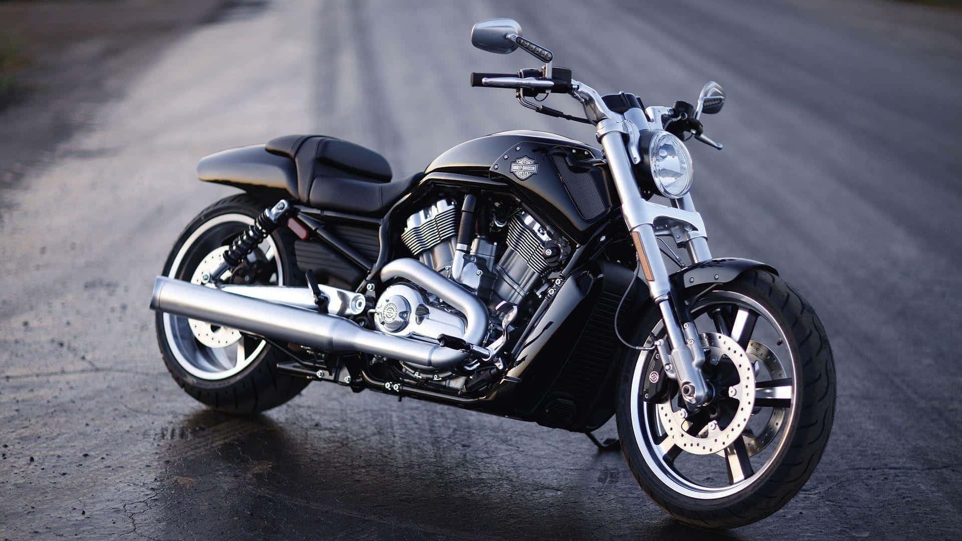 Harley Davidson HD 桌布 壁紙 — 一輛時尚的黑色訂製摩托車，帶有鍍鉻裝飾，停在潮濕的瀝青路上，光線柔和。